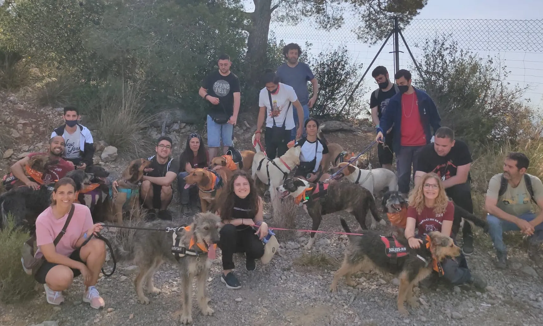 Canópolis és un refugi d'animals situat al Parc Natural del Garraf que transforma l'organització tradicional de les protectores per potenciar el benestar animal.