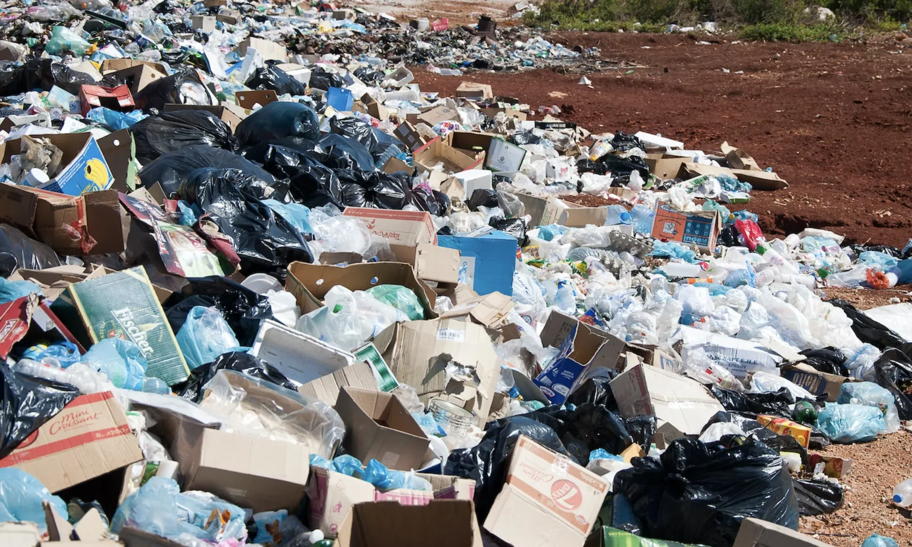 Greus problemes com el canvi climàtic, la guerra a Ucraïna i la crisi sanitària de la Covid-19 han sacsejat el planeta i, si no s'actua, continuaran agreujant-se.