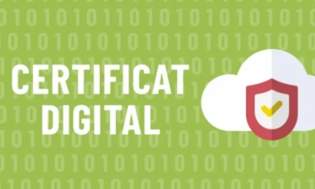 La importància del certificat digital en la gestió de les associacions