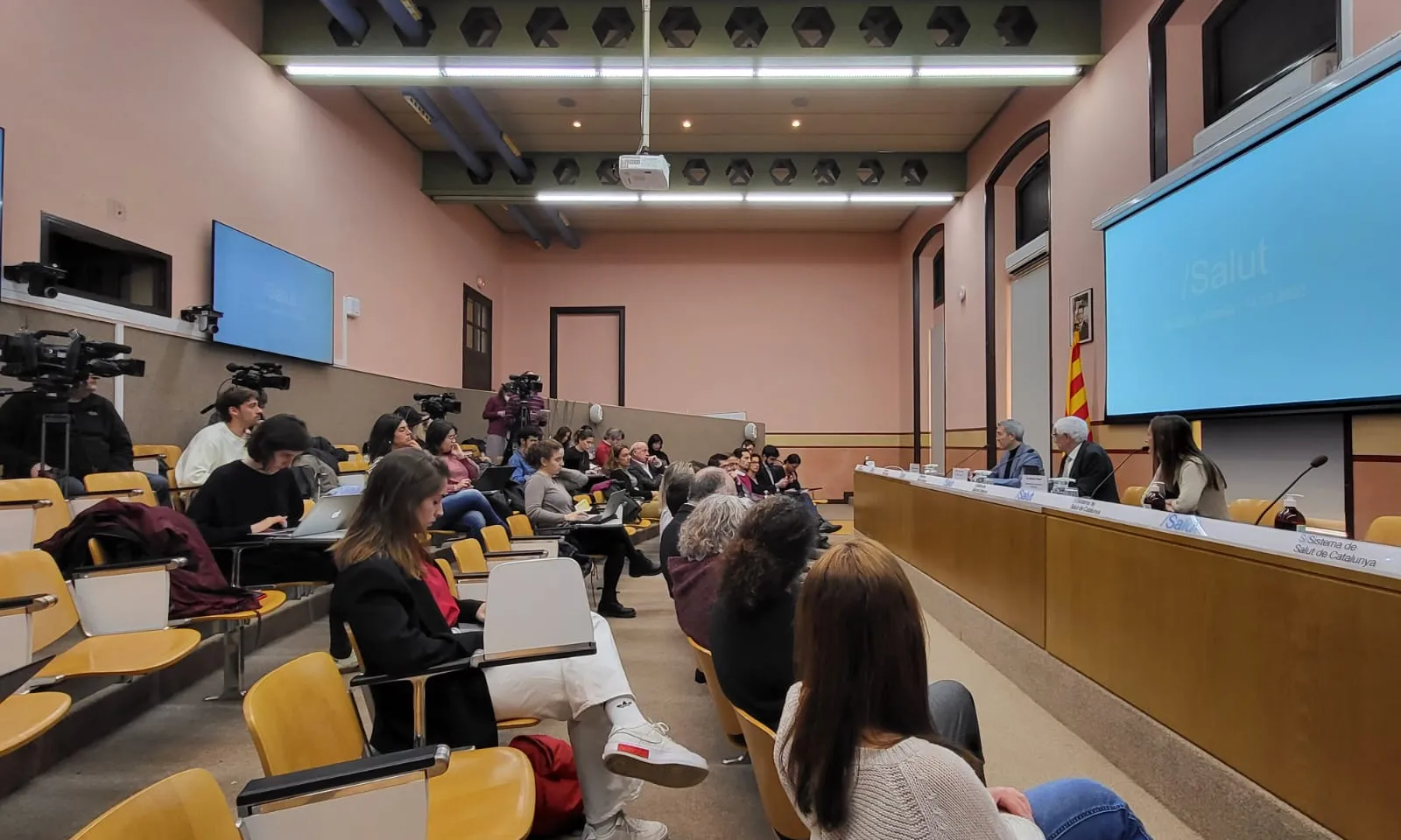 Catalunya va registrar un increment del 195% pel que fa a les temptatives de suïcidi entre noies adolescents.