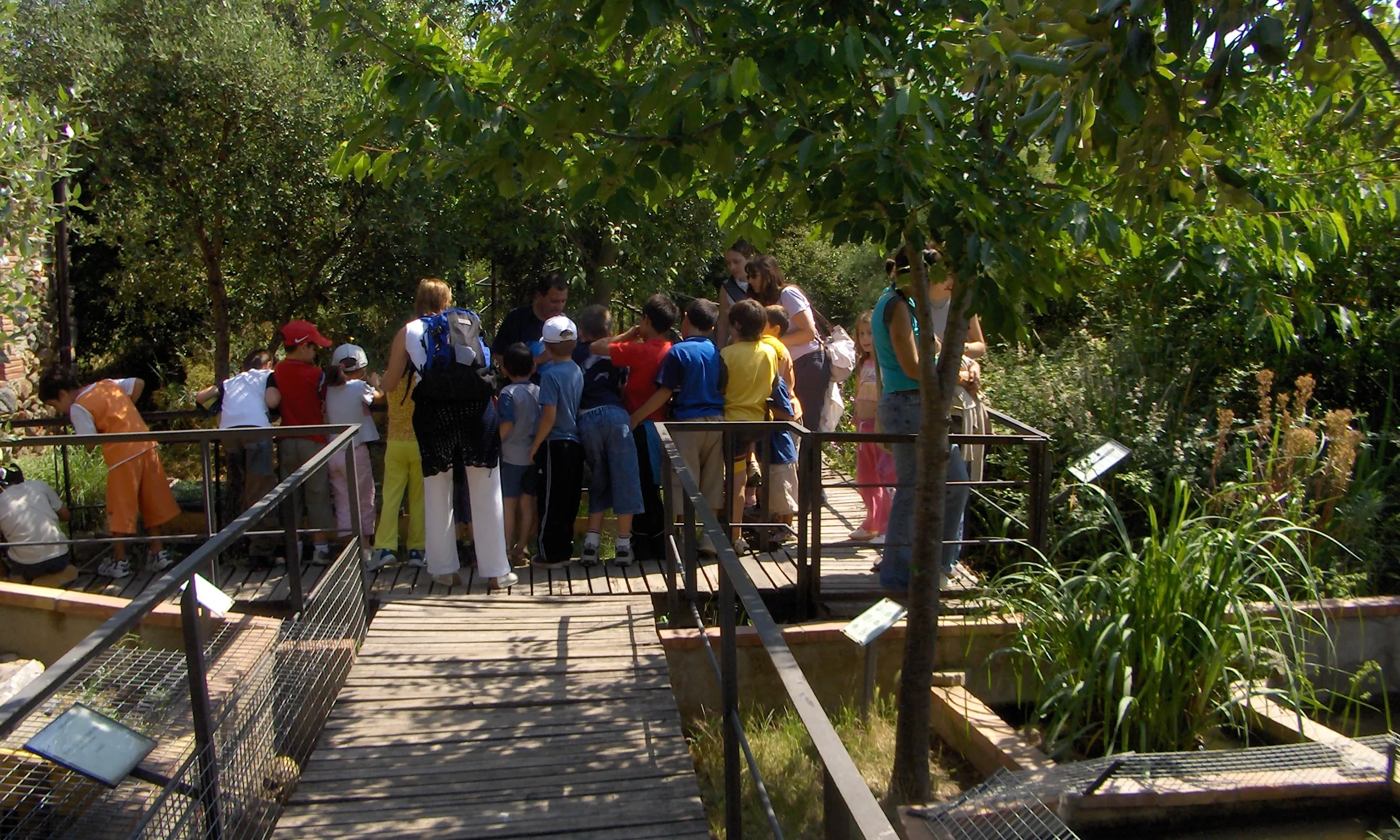 Visita d'un grup d'infants al Centre de Reproducció de Tortugues de l'Albera.