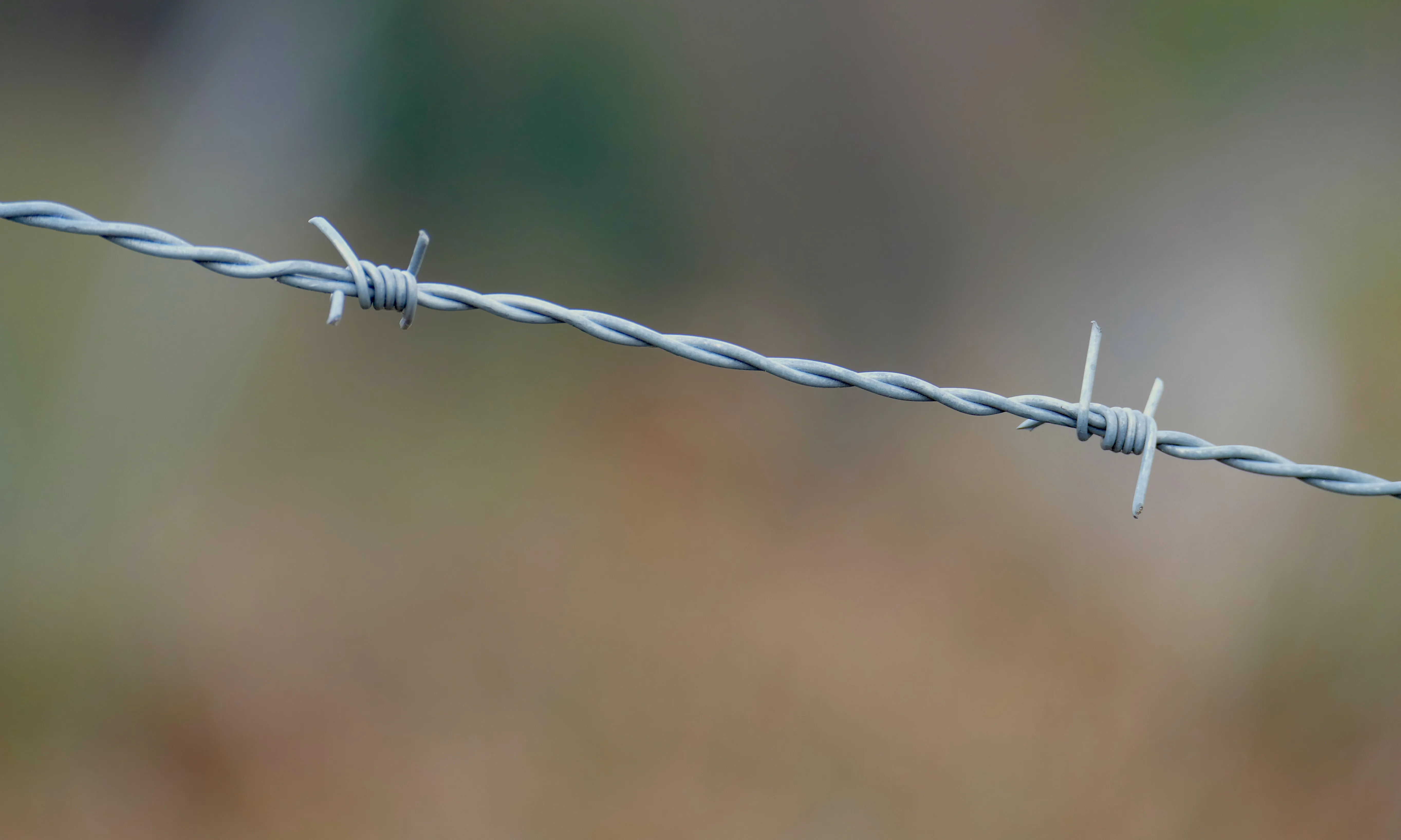 Caminando Fronteras xifra en més de 2.300 les víctimes que van intentar entrar a Espanya el 2022.