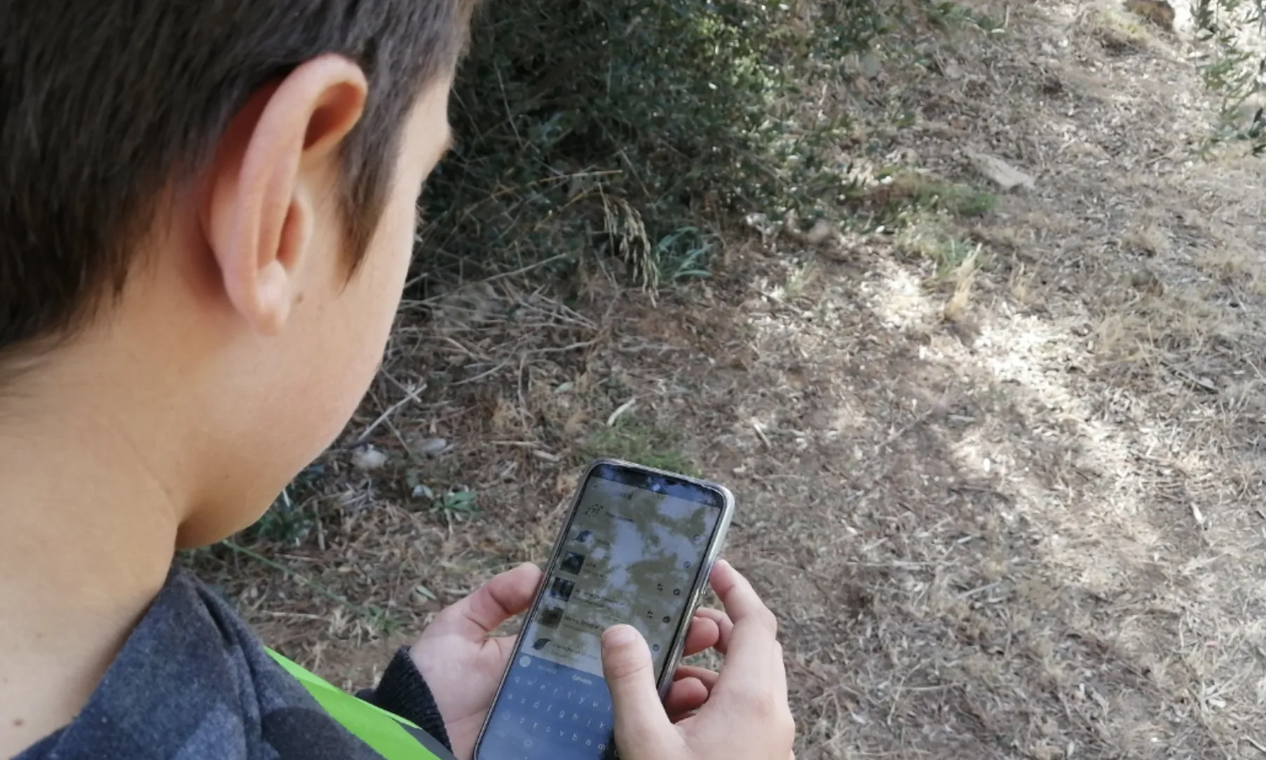 'Barcelona Reconnecta' cerca apropar a la ciutadania de Barcelona l'observació fenològica per ajudar a la recol·lecció de dades sobre els canvis de la biodiversitat.