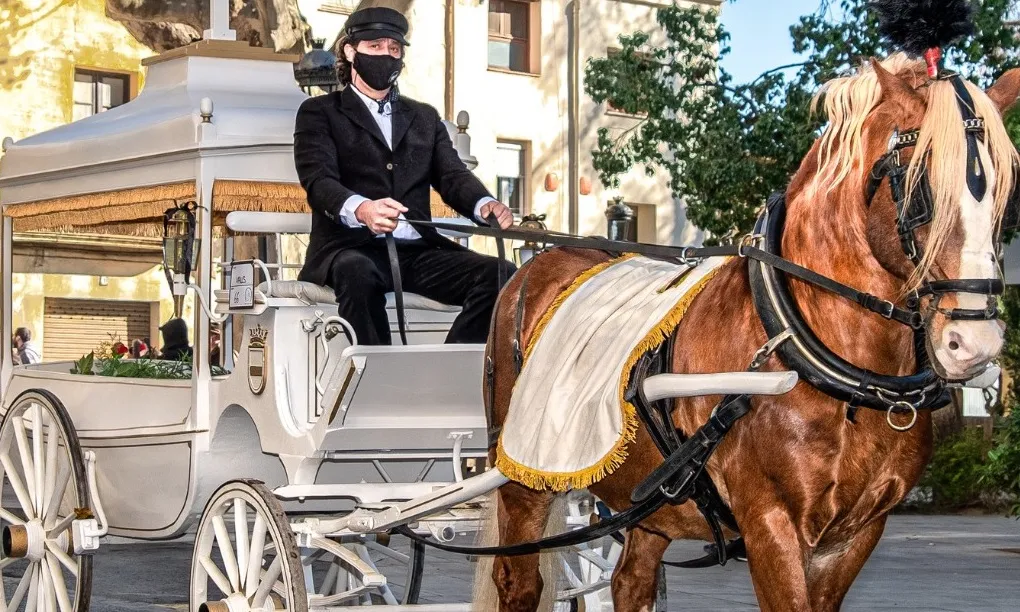 Com a novetat d'aquesta edició, es presenten dos carros nous: un carruatge fúnebre i un de transport de botes.