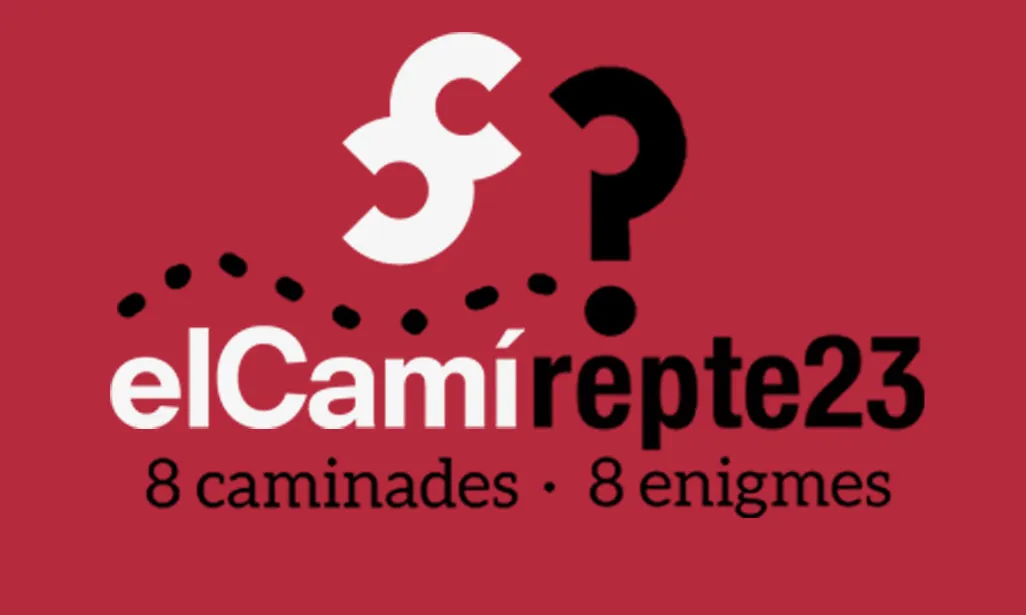 logo camirepte23