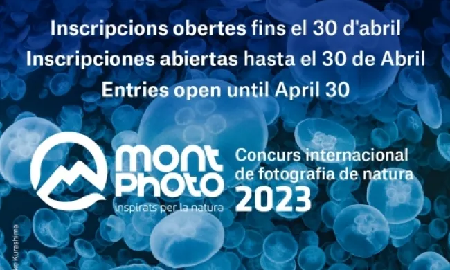 27a edició del Festival MontPhoto. Font: MontPhoto