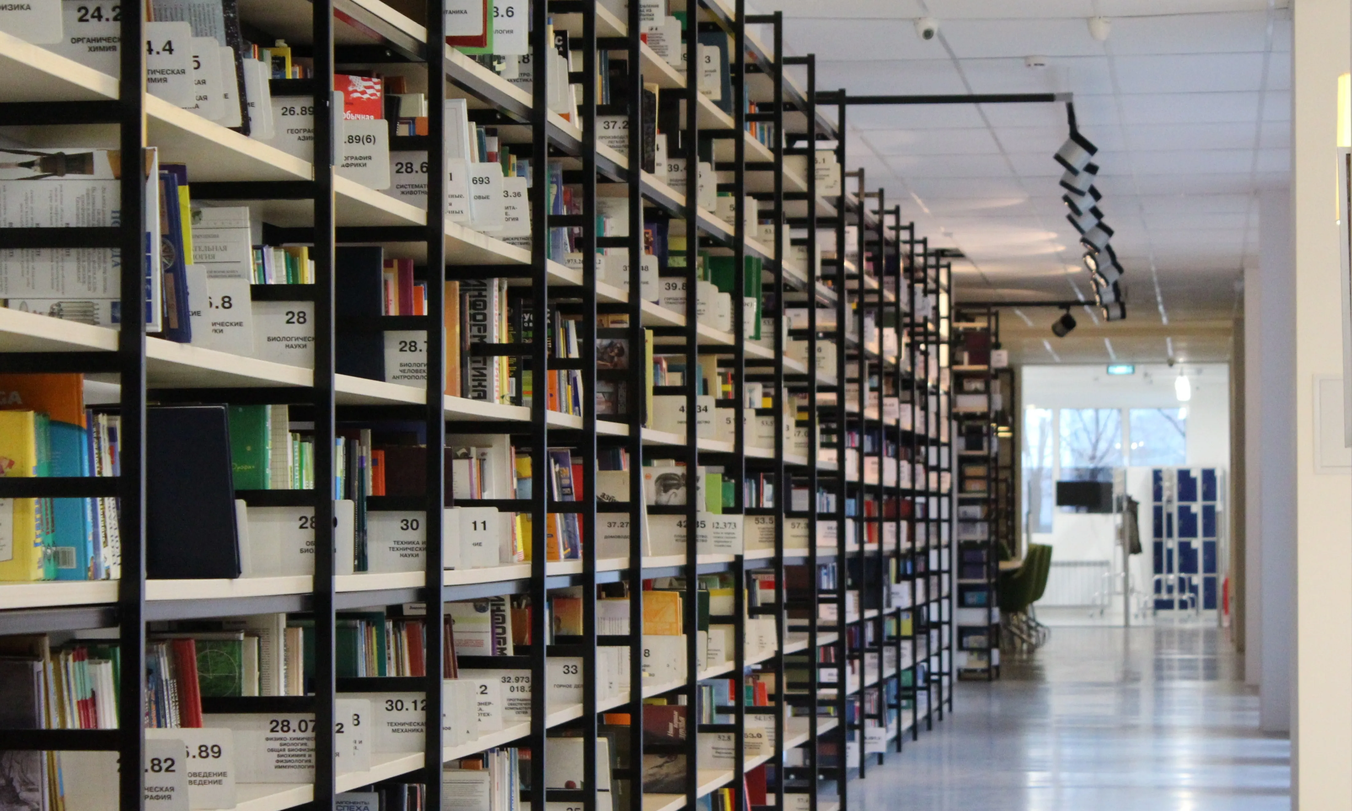 Prestatgeria amb llibres. Font: Pixabay