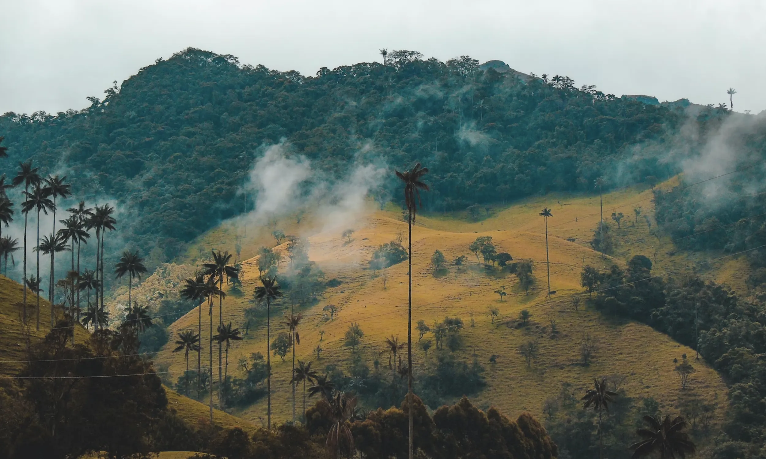El poble Awá viu al sud-est de Colòmbia, al Departament de Nariño, i fa dècades que pateixen la violència del sistema extractivista.