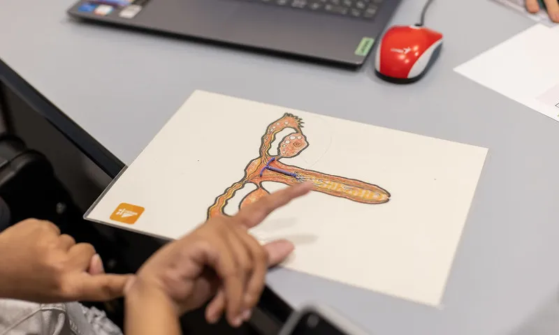 L'Associació de Drets Sexuals i Reproductius porta més de 40 anys posant el focus en la importància de l'educació sexual. Font: Flick Joventut Cat