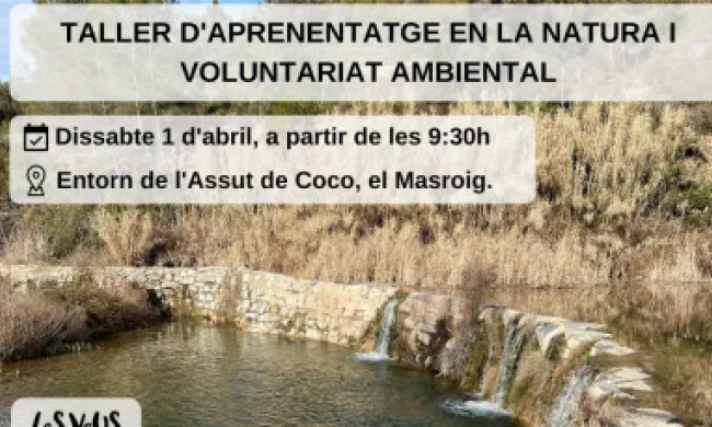 Fragment del cartell oficial de l'activitat de voluntariat que organitza l'Associació l'Aube. Font: Associació l'Aube