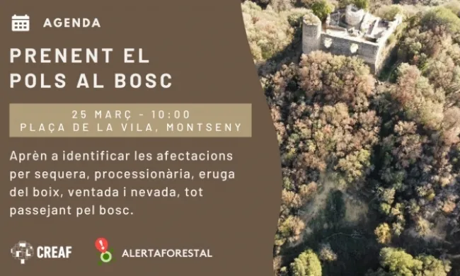 Cartell oficial del taller 'Prenent el pols al bosc'. Font: CREAF