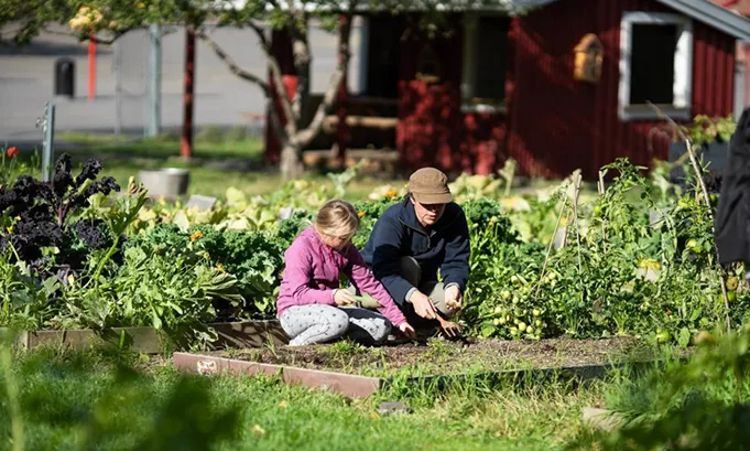 Xarxa de Ciutats Comestibles (Edible Cities Network – EdiCitNet)