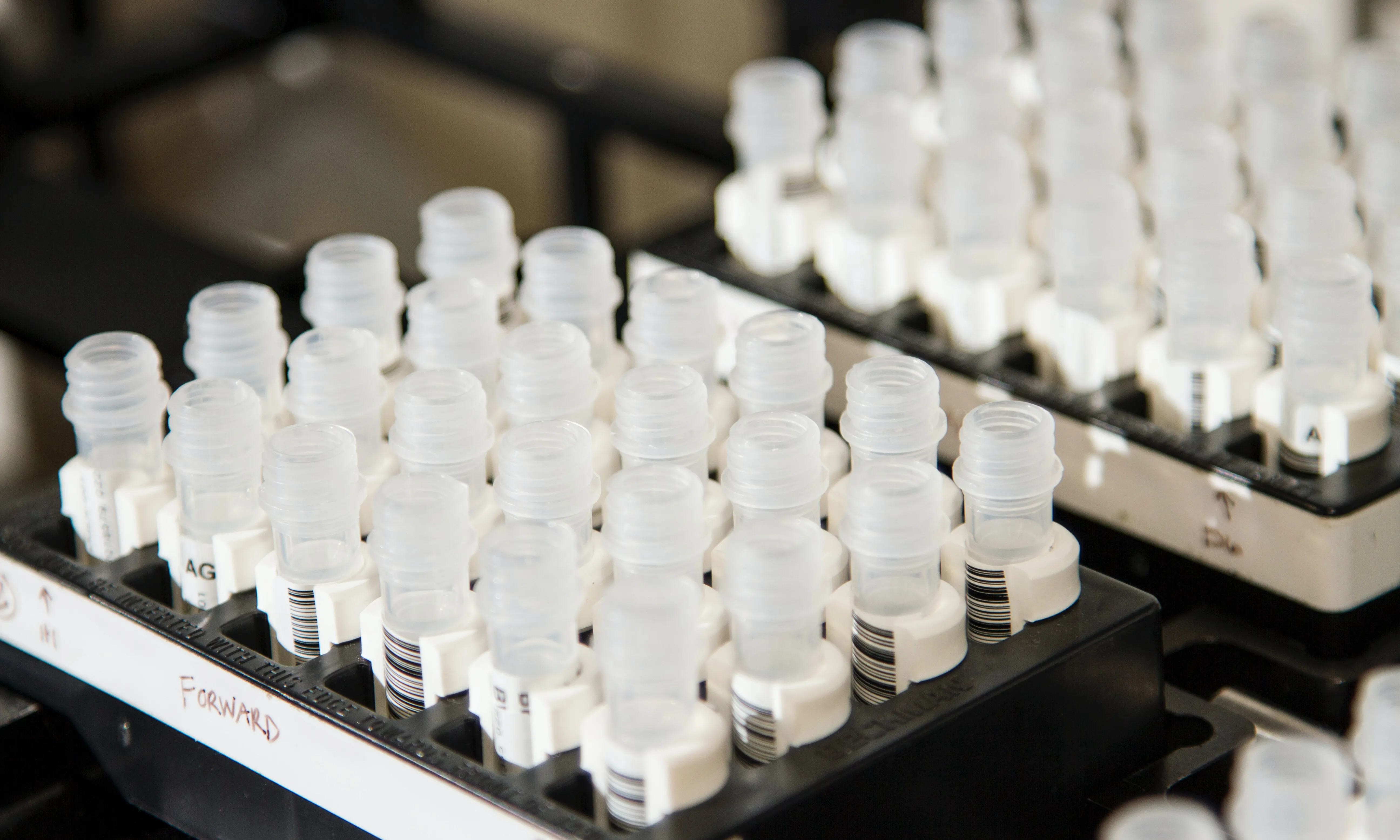 La recaptació íntegra anirà destinada a finançar projectes d’ajuda a les persones amb càncer.