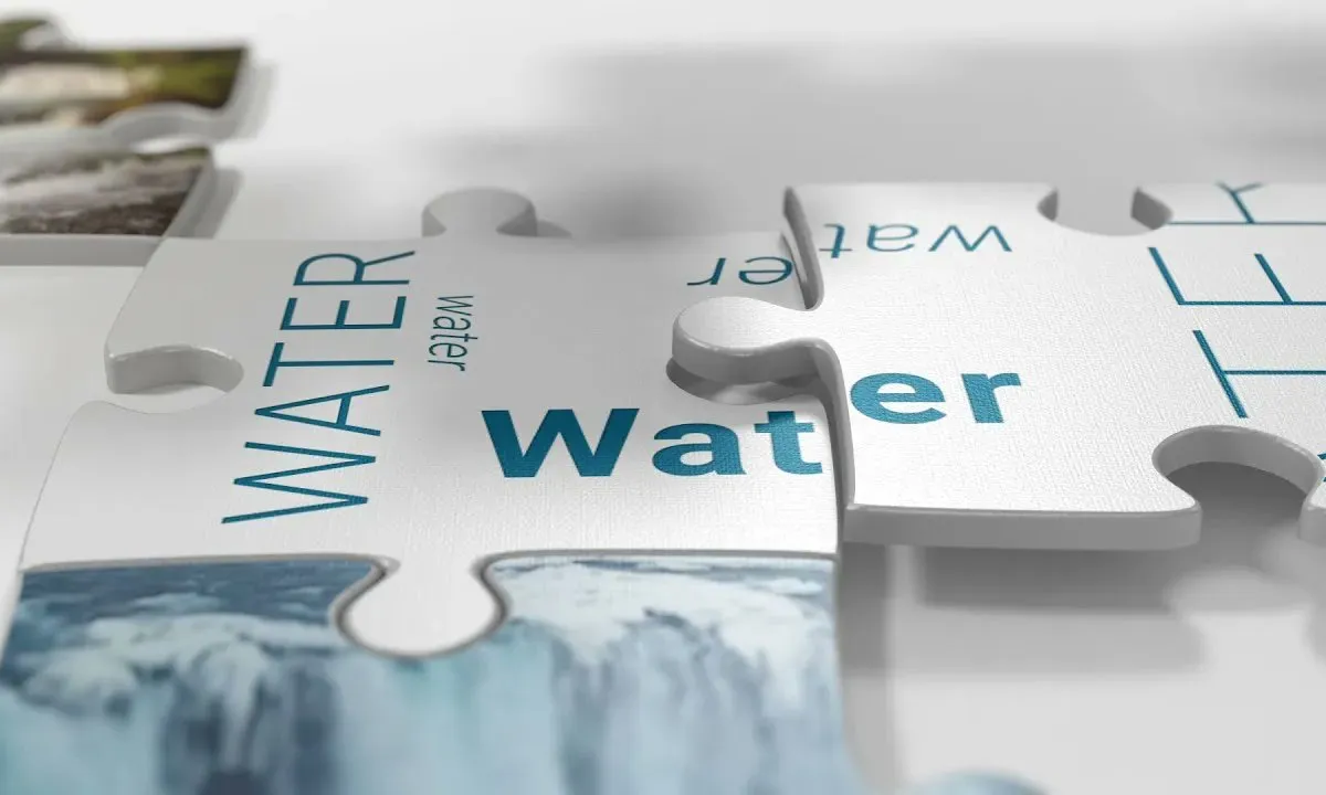 Els moviments globals de l’aigua alerten dels interessos en joc a la cita.