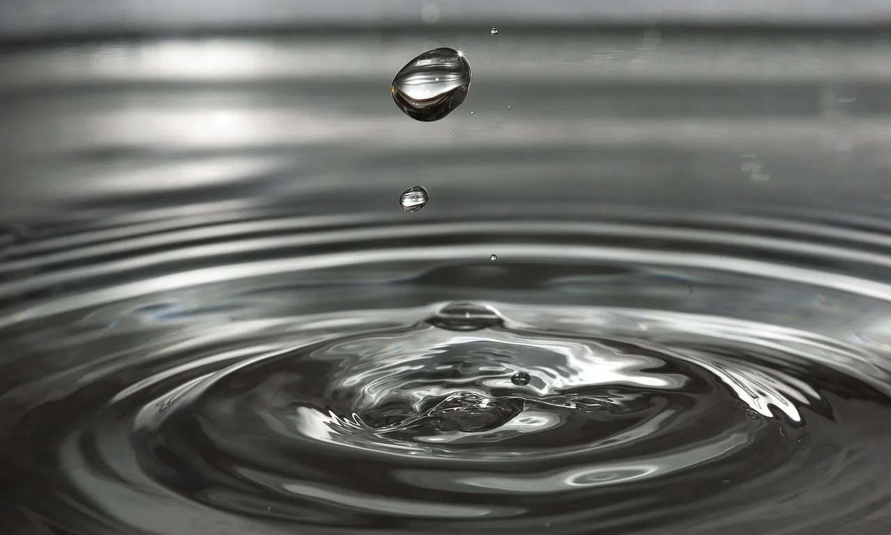 Tothom ha de posar la seva gota d’aigua.  Font: Pixabay