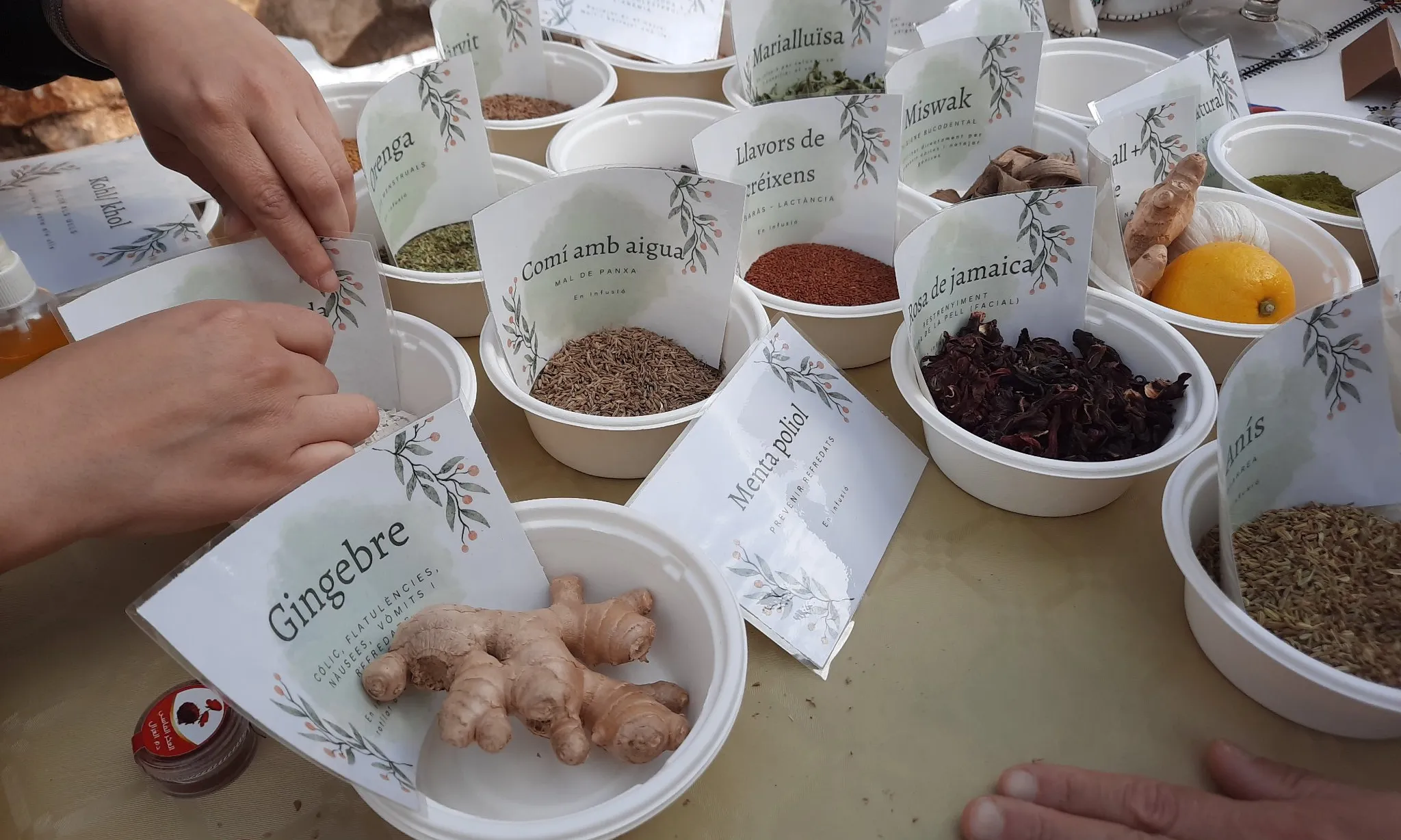 Herbes i remeis naturals en una parada d'Amunt i Crits! al Festival Om celebrat a Llers.