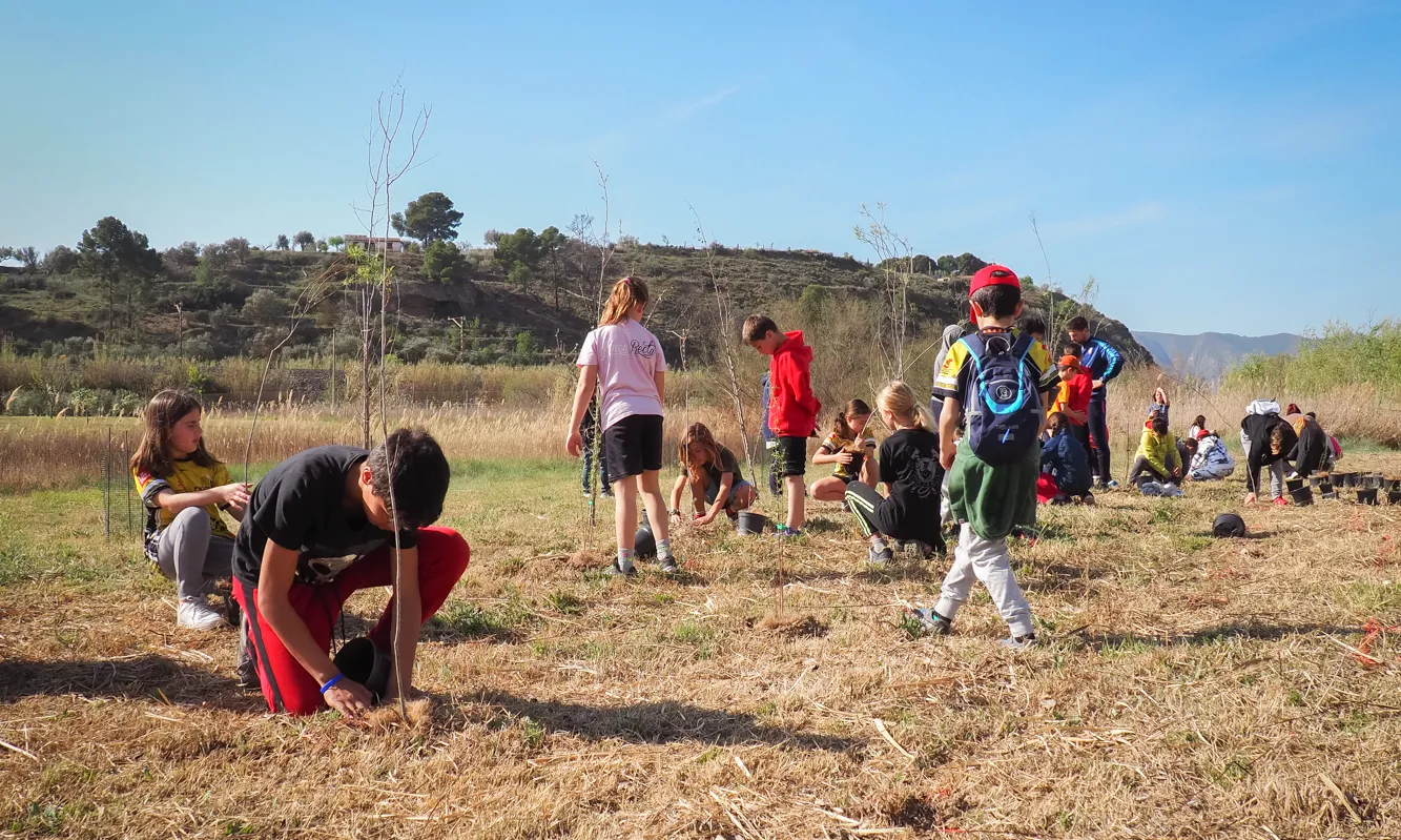 Una de les branques del projecte són les accions de plantació i millora dels espais naturals de cinc zones de custòdia.