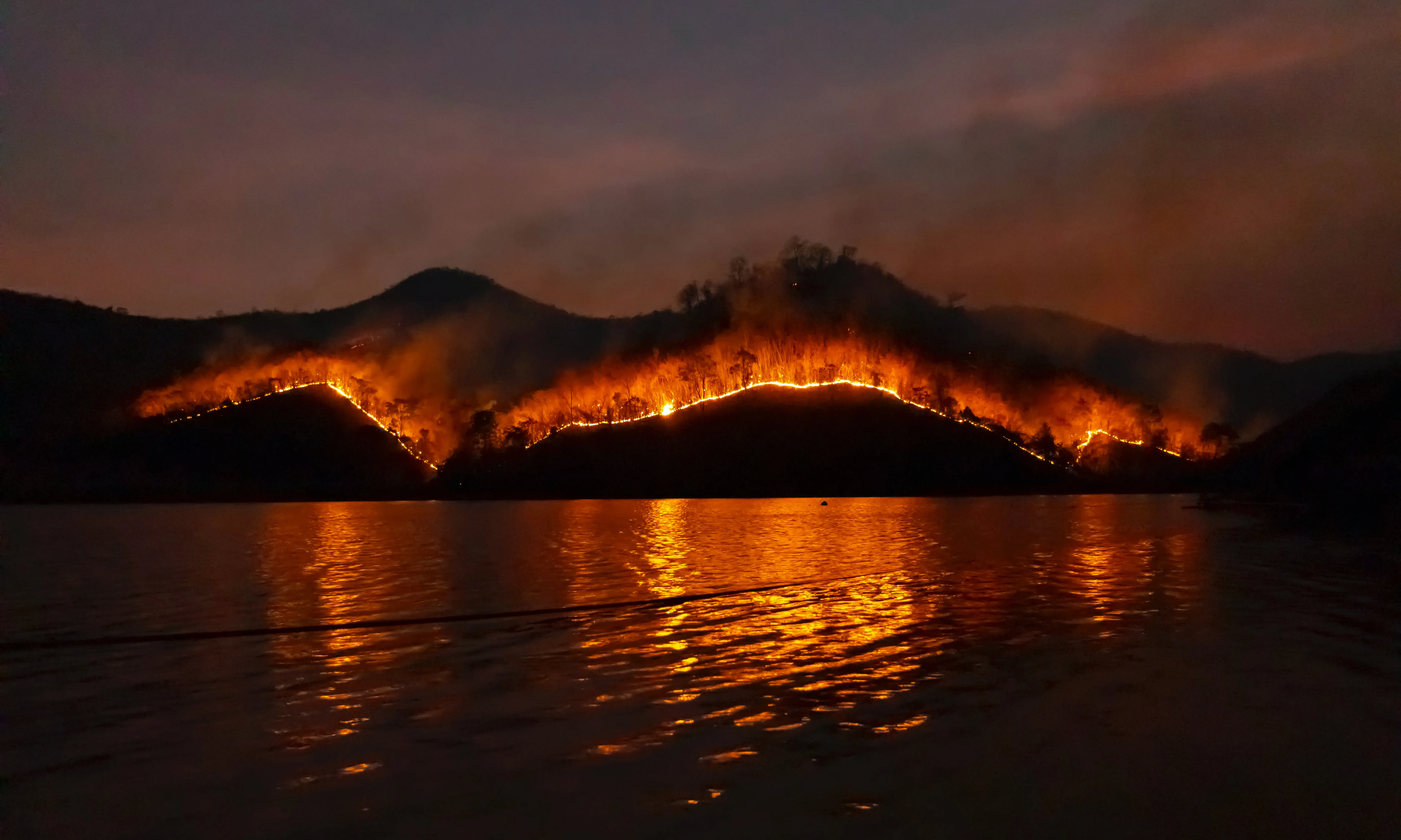 Foc al bosc amb llac a primer pla. Font: Pexels- Sippakorn Yamkasikorn Foc al bosc amb llac a primer pla. Font: Pexels- Sippakorn Yamkasikorn