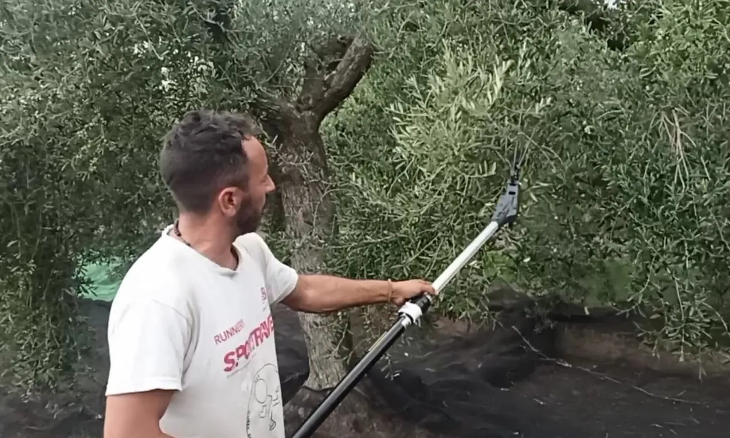 Abans de treballar al camp, el Ramon Rojo es dedicava a conduir autobusos a Barcelona. Font: Colectic.
