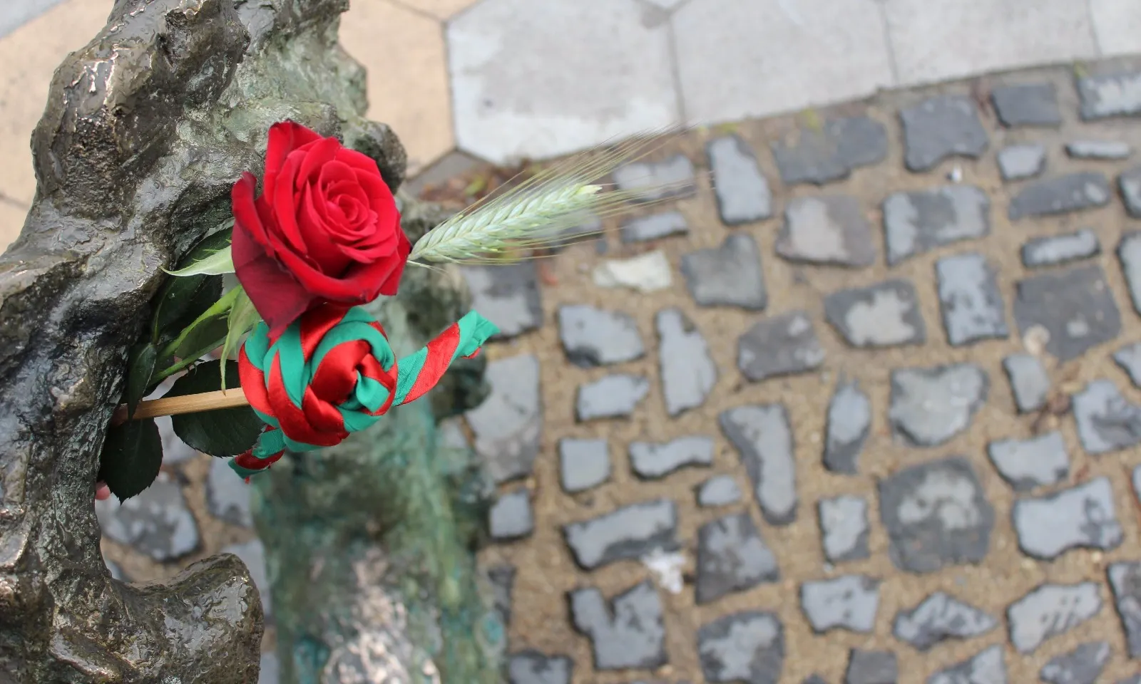 Dues roses, una de vermella i una amb el colors del fulard de l'Agrupament Escolta i Guia Sant Pere de Figueres. Font: Minyons Escoltes i Guies de Catalunya