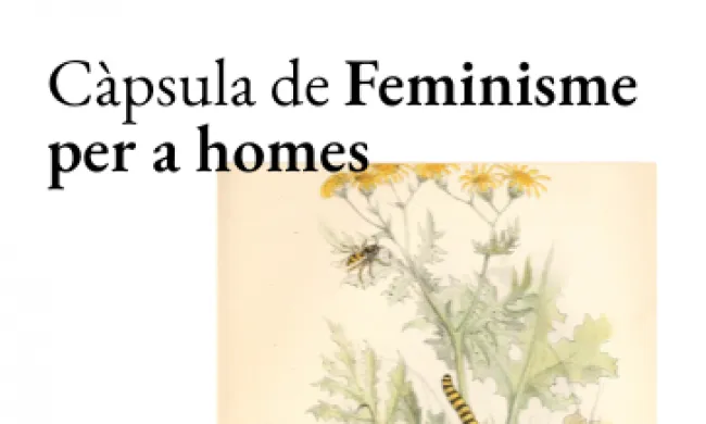 Càpsula de Feminisme per a homes