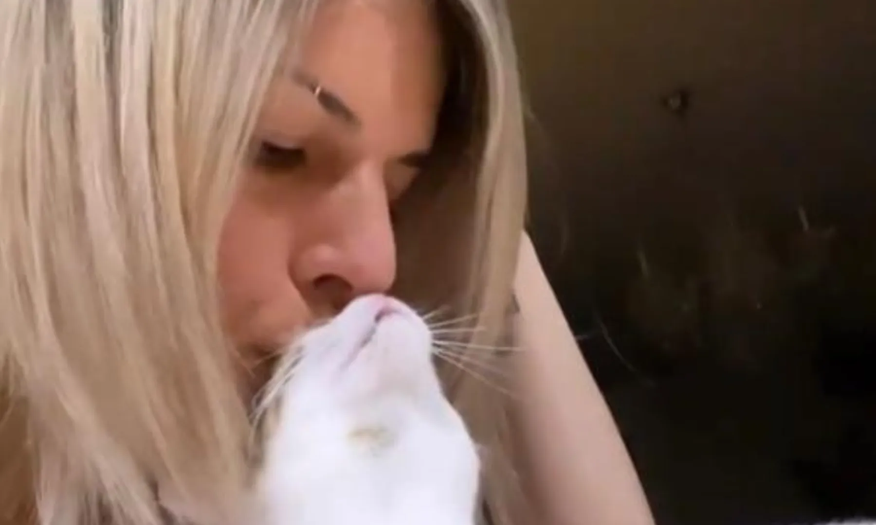 L’associació Veyihard afronta totes les seves despeses amb col·laboracions i donacions. 