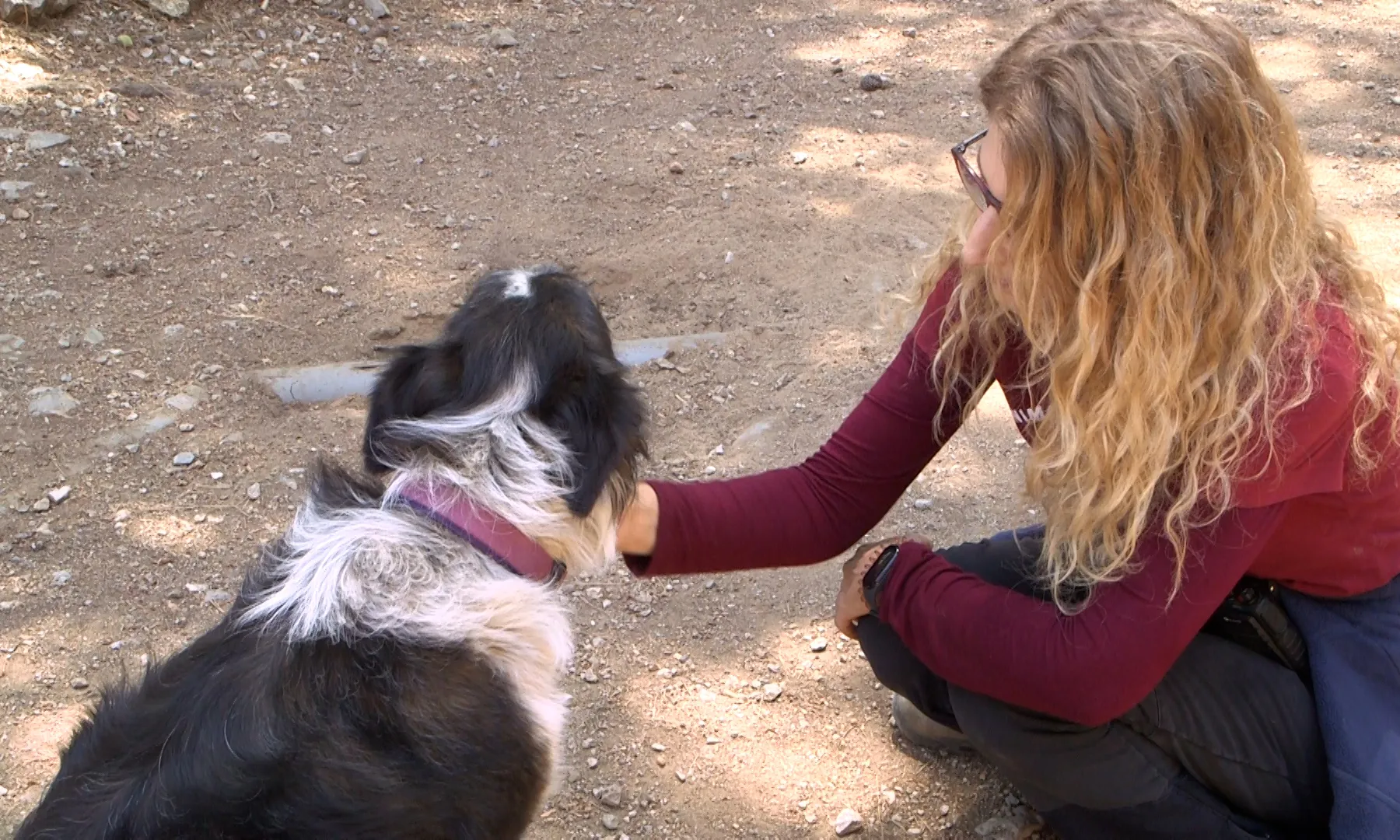 Canópolis és un refugi d'animals que treballa per l'erradicació de les gàbies i implementa l'alimentació i les teràpies naturals.