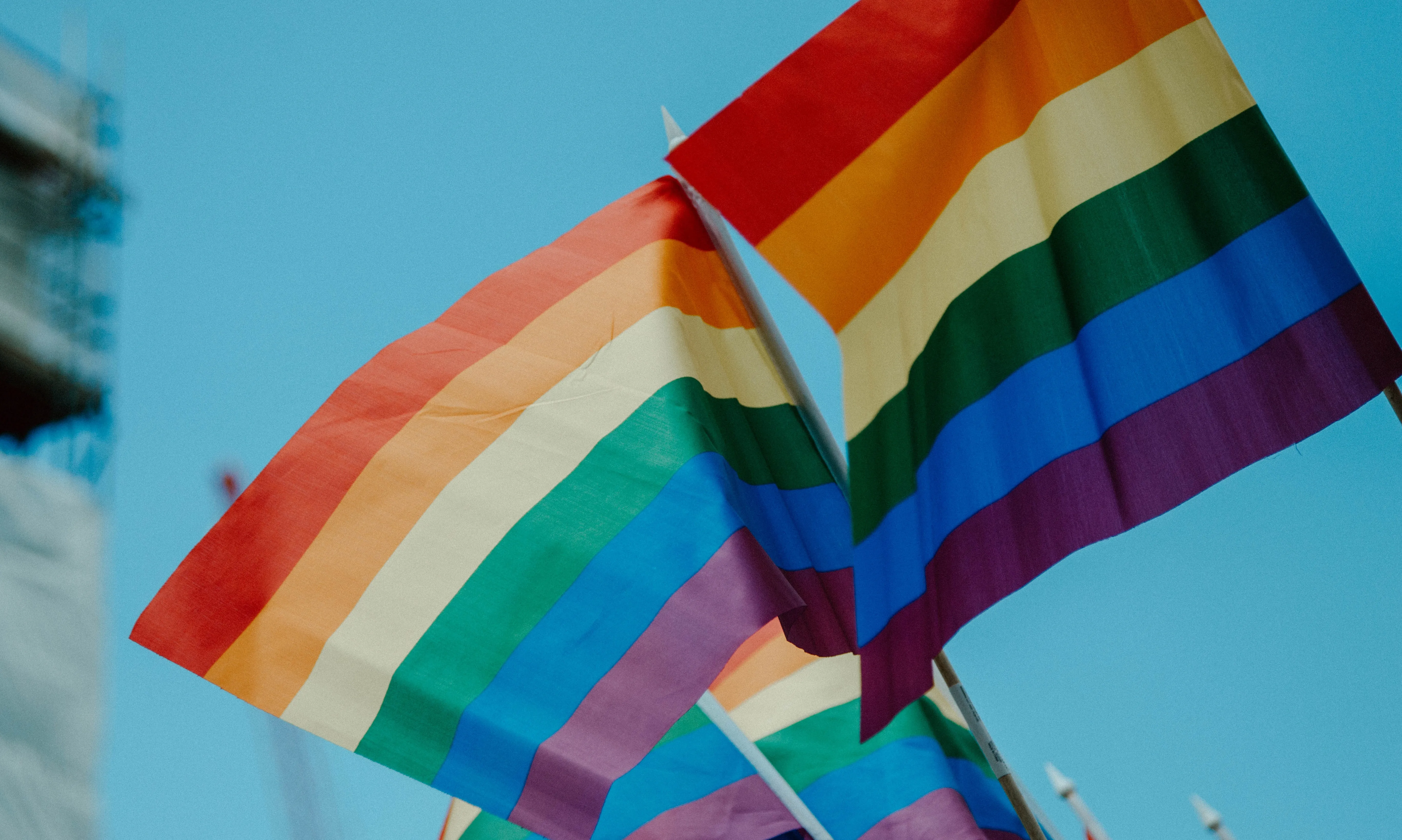Amnistia Internacional clama per consolidar els avenços conquerits en el reconeixement de drets LGTBI