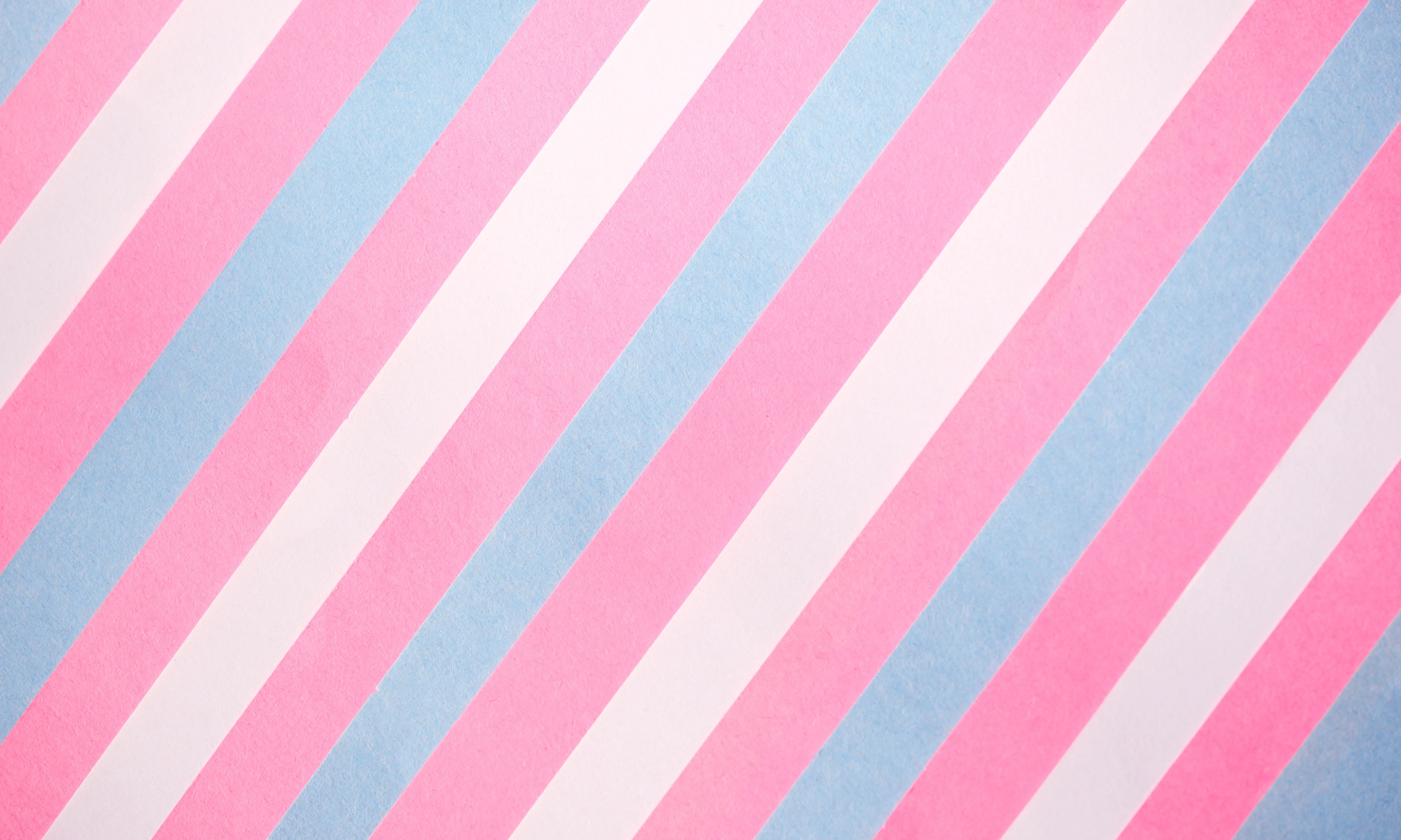 La comunitat trans reclama suport per a un envelliment digne.