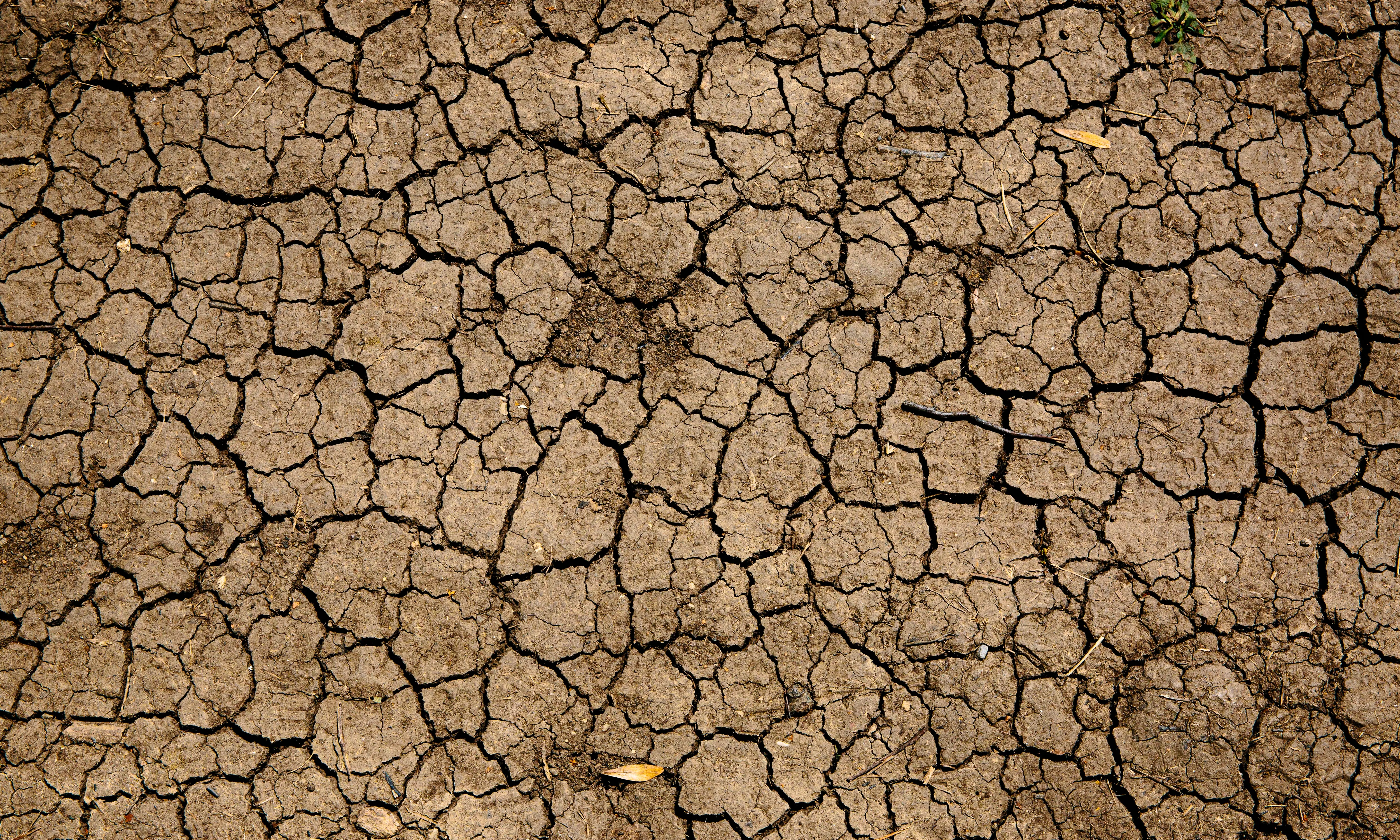 La influència del canvi climàtic en la decisió de migrar està molt lligada a les vulneracions existents i a la capacitat de fer front als riscos.