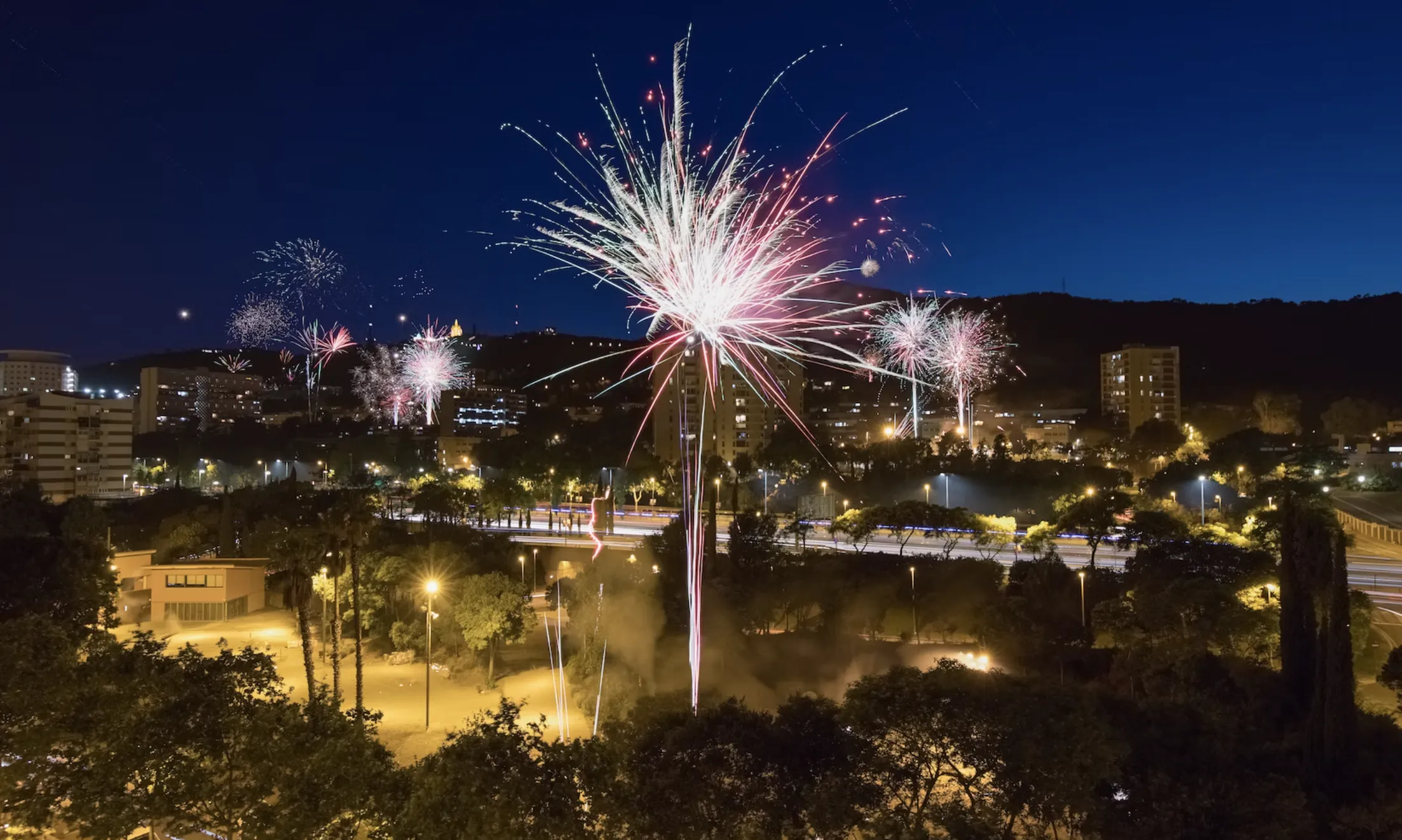 La Fundació Emys ha proposat quatre consells per a celebrar un Sant Joan de manera responsable i compromesa amb la biodiversitat i el medi ambient.