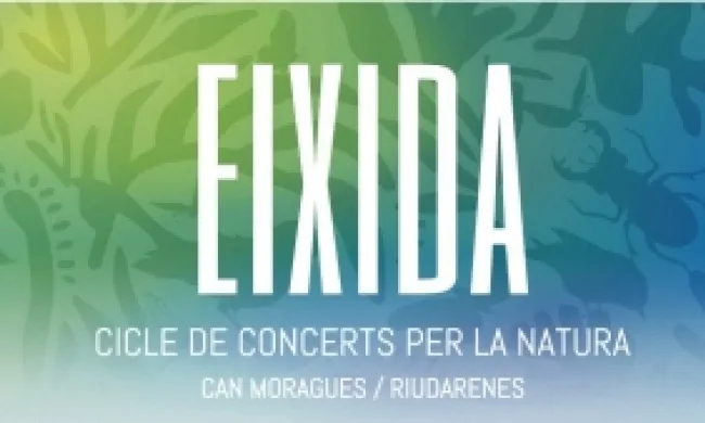 Fragment del cartell oficial dels concerts benèfics Eixida. Font: Fundació Emys