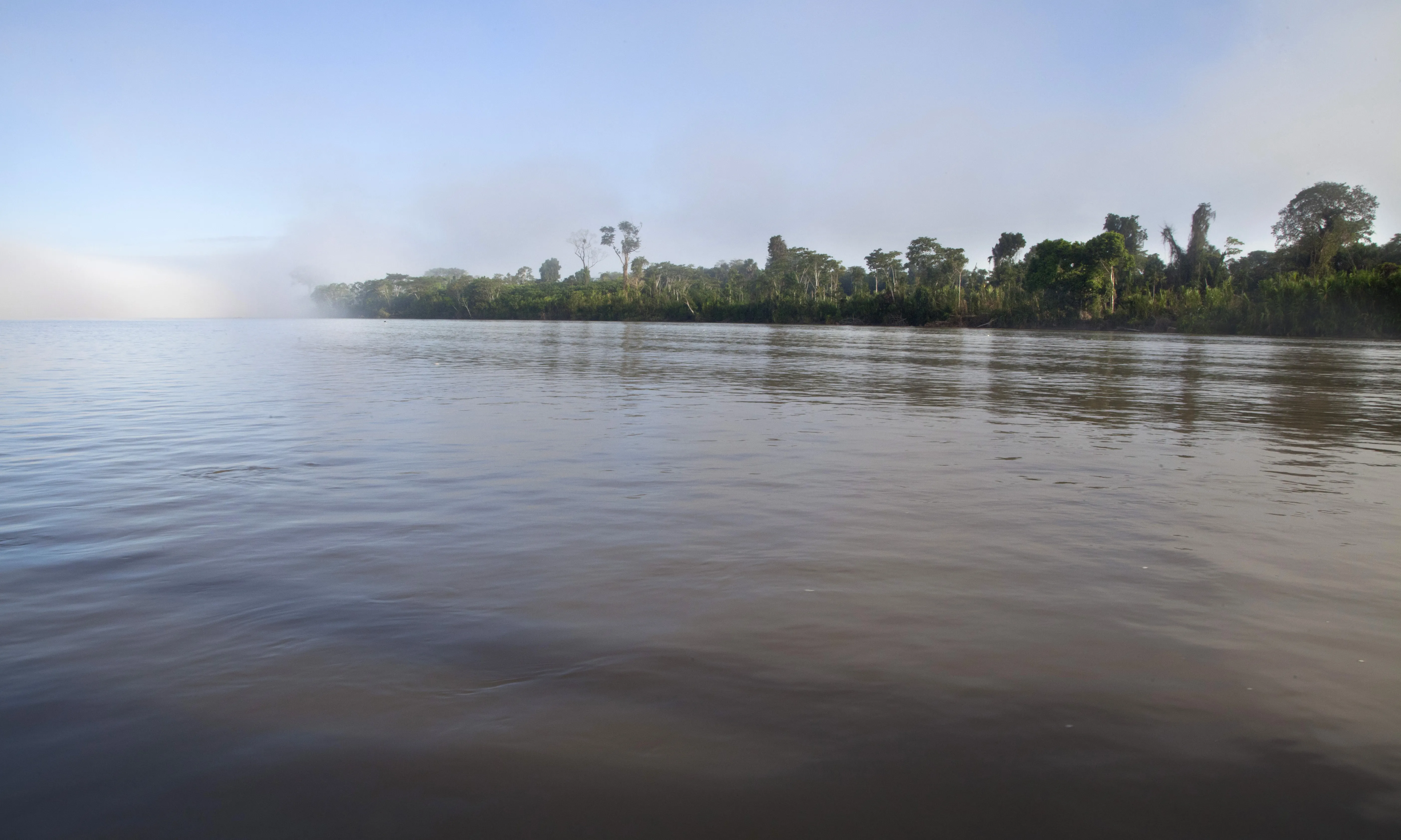 La consulta del 20 d’agost decidirà si es frena l’explotació petroliera al parc nacional del Yasuní, a l’Equador.