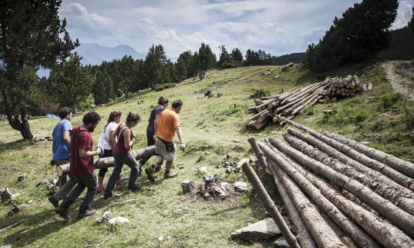 Les activitats que es desenvolupen en el marc del Projecte Boscos de Muntanya tenen com a objectiu la cura del bosc per garantir-ne un bon estat de salut.