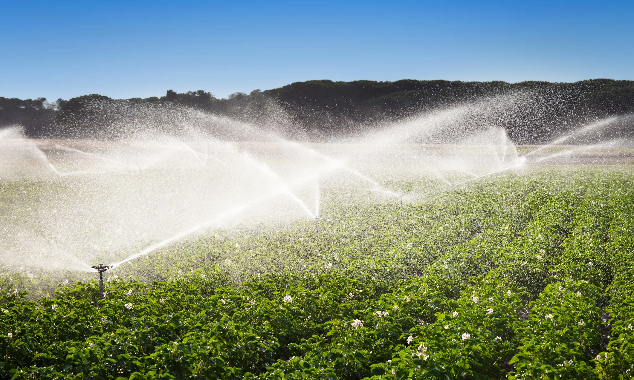 Les creadores d'Agrodit, Maria Martínez i Fernando Carrasco, són originàries de Múrcia, una de les regions més castigades per la sequera. Font: iStock.