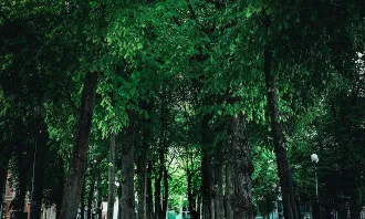 Fundació Biodiversitat