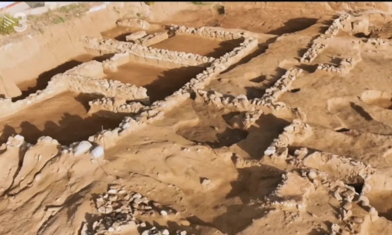 El primer objectiu de l'associació és salvar el jaciment de Ca la Madrona, al barri de Rocafonda de Mataró.