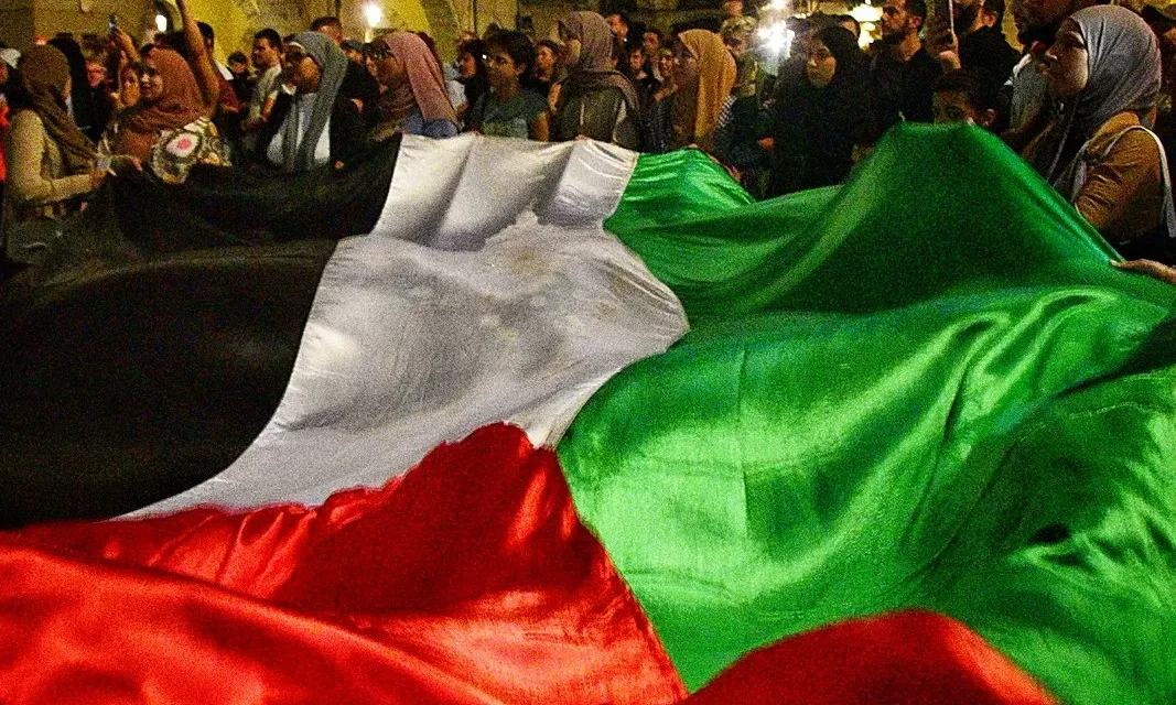 Arreu de Catalunya s'han produït mobilitzacions en solidaritat amb el poble palestí. 