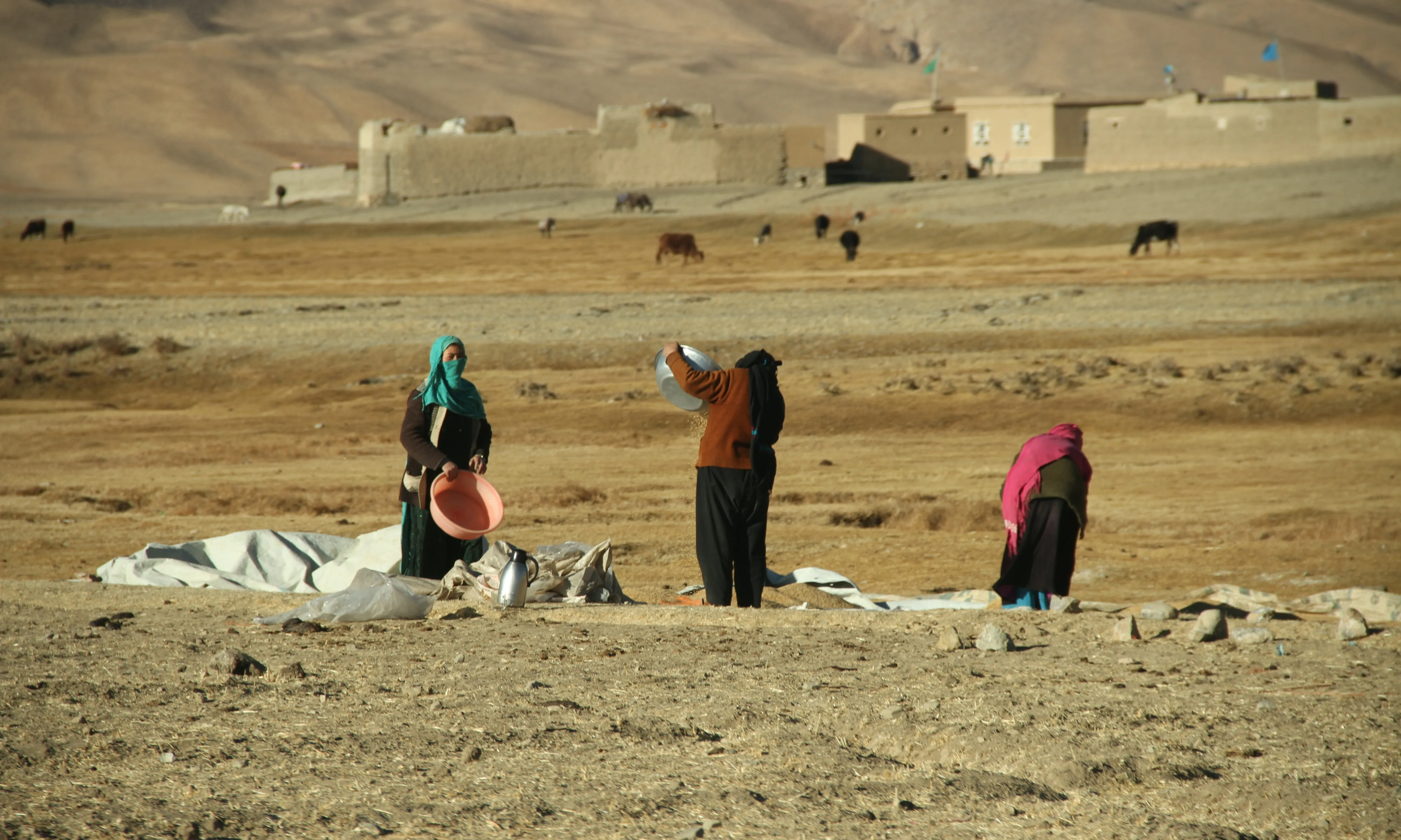 Avui, més de vint-i-vuit milions de persones –tretze de les quals són dones i nenes– necessiten ajuda humanitària urgent.