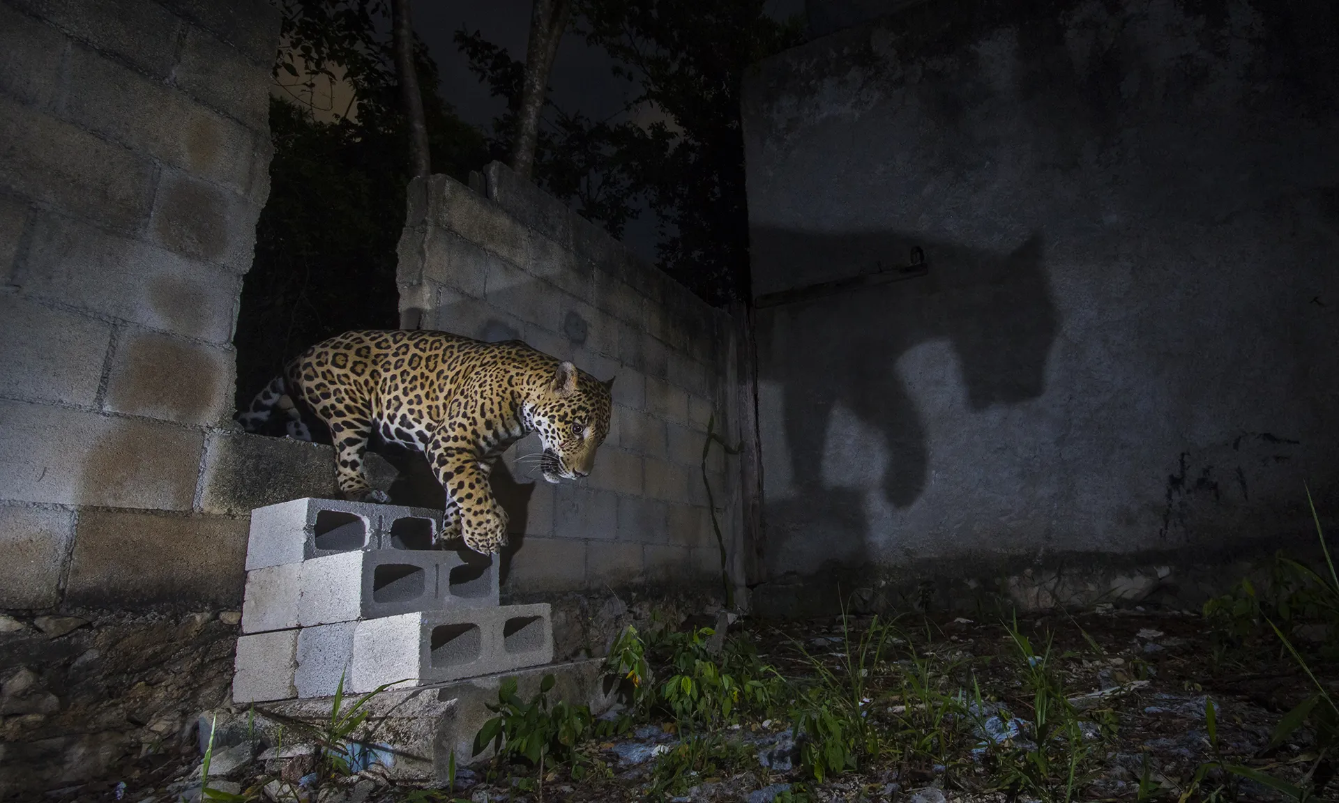 ''Sombra de concreto', fotografia de Fernando Constantino Martínez Belmar.