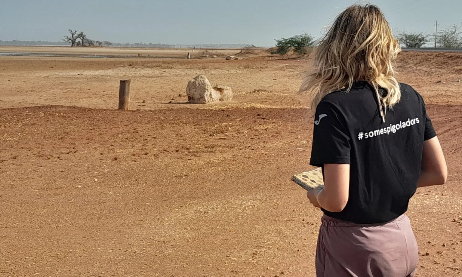 L'informe d’Espigoladors es va dur a terme entre el 2 i el 26 de maig de 2023.