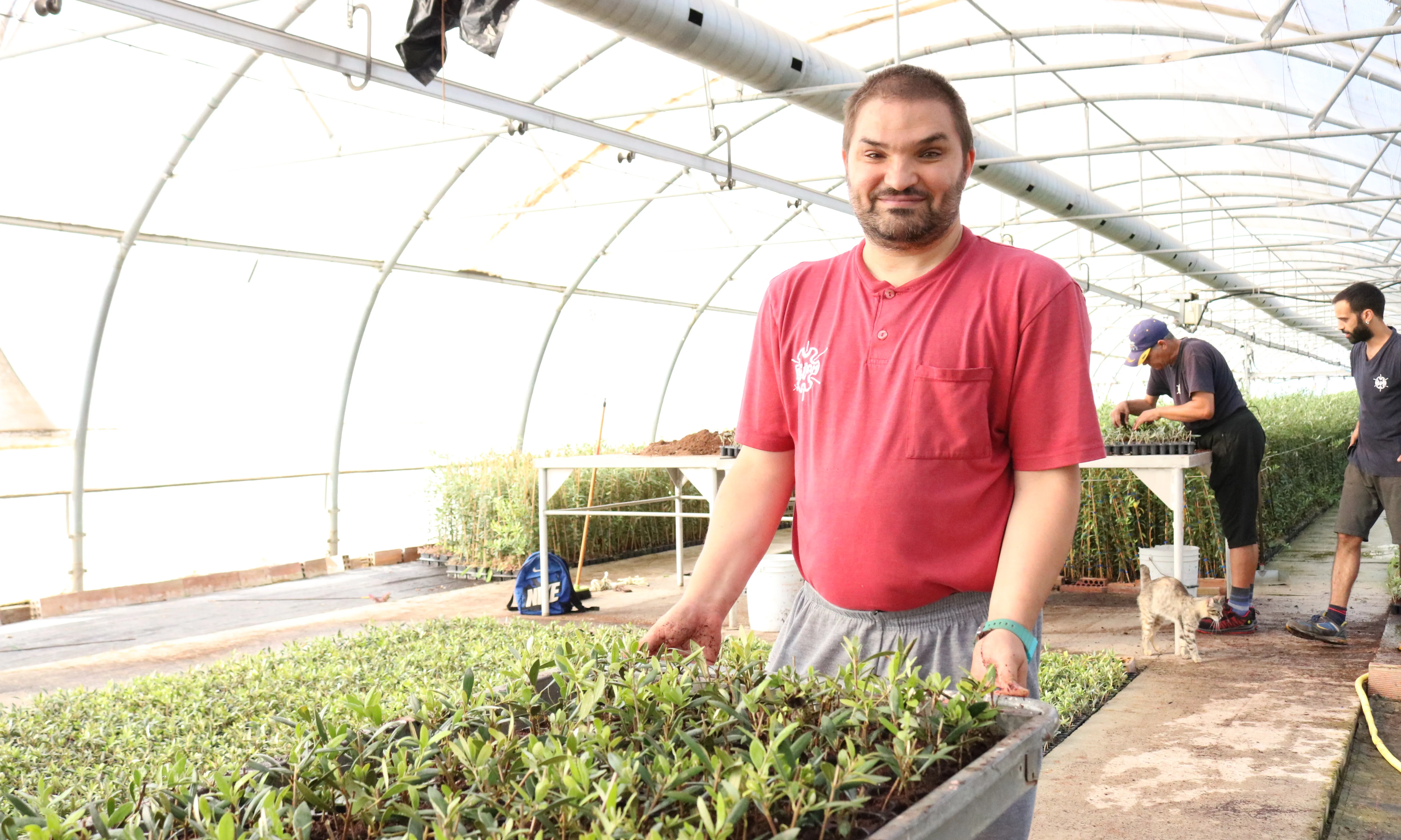 L'ACUDAM, entitat de referència per a l'acompanyament a persones amb diversitat funcional del Pla d'Urgell