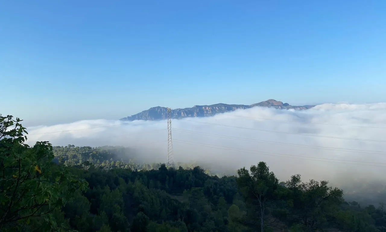 Els espais forestals representen el 61,2% de la superfície de Catalunya.