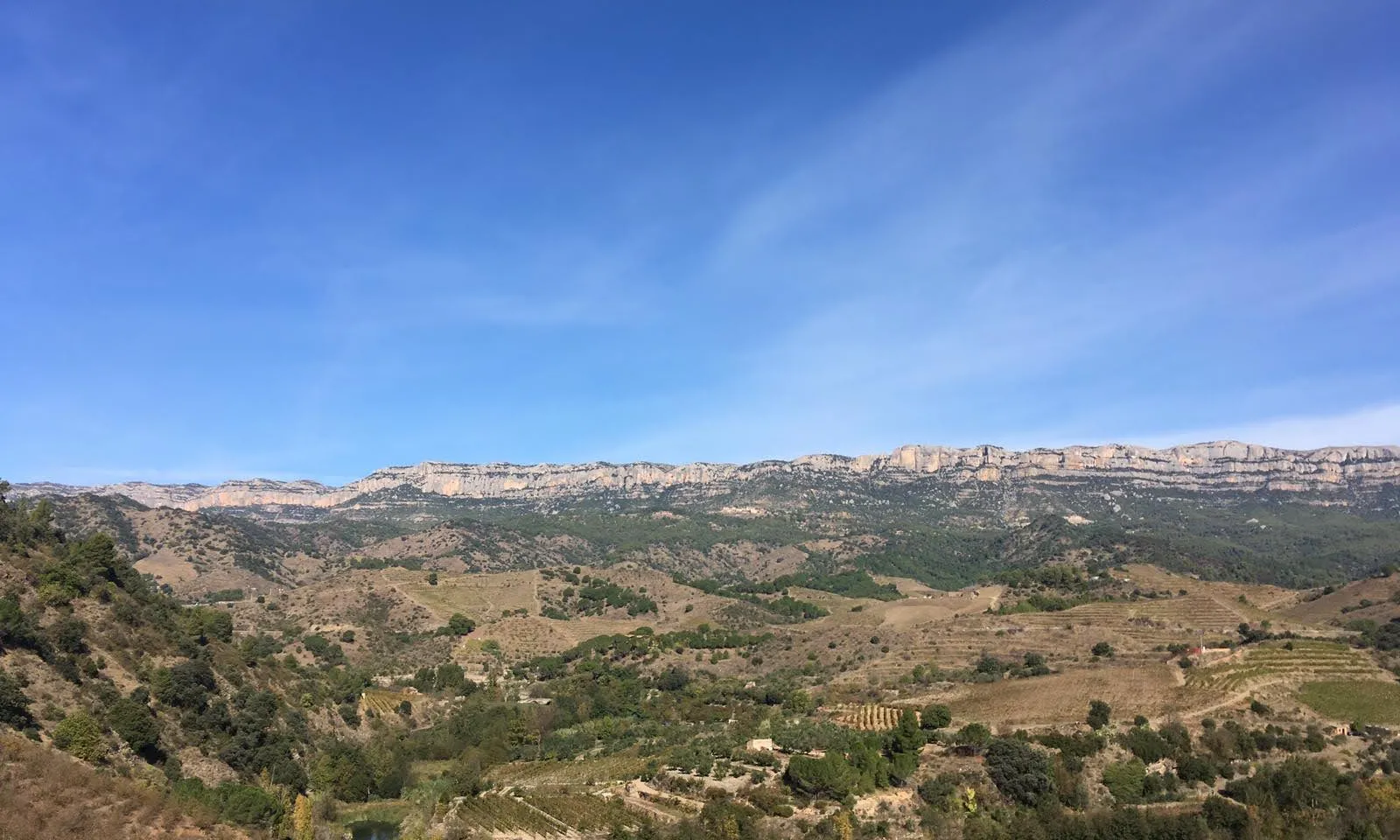 La Xarxa Catalana per una Transició Energètica Justa reivindica una transició energètica al servei de la ciutadania i no de l'oligopoli.