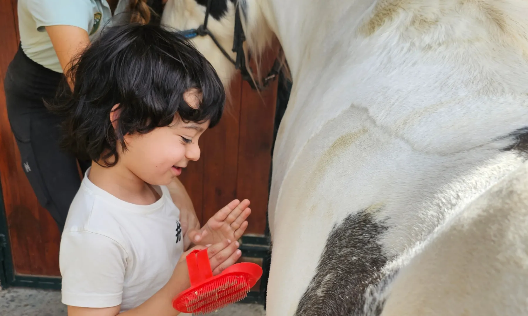 L’Associació ISTEA atén infants, joves i adults amb TEA i a les seves famílies. 
