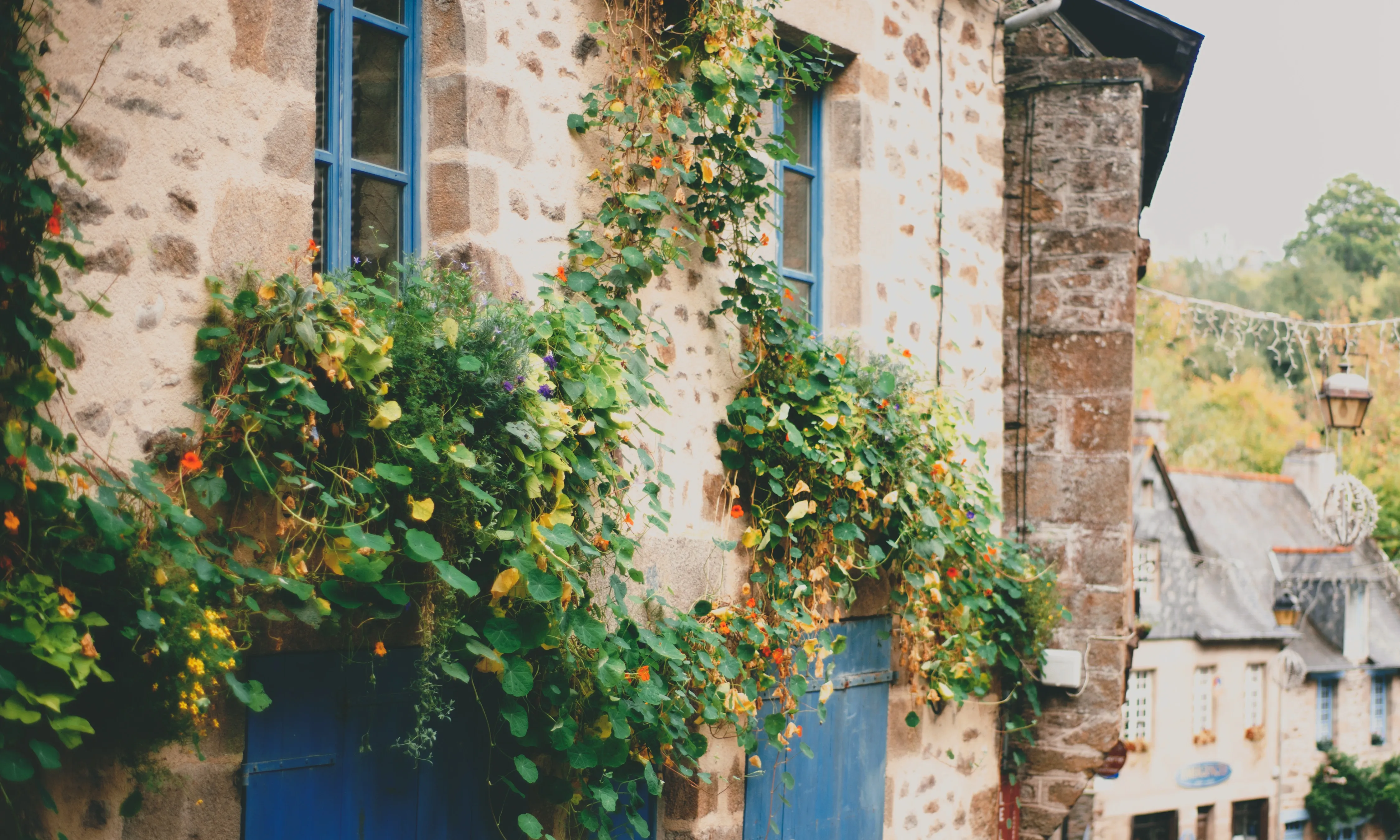 Casa d'un poble de muntanya. Font: Pexels - Maria Orlova Casa d'un poble de muntanya. Font: Pexels - Maria Orlova