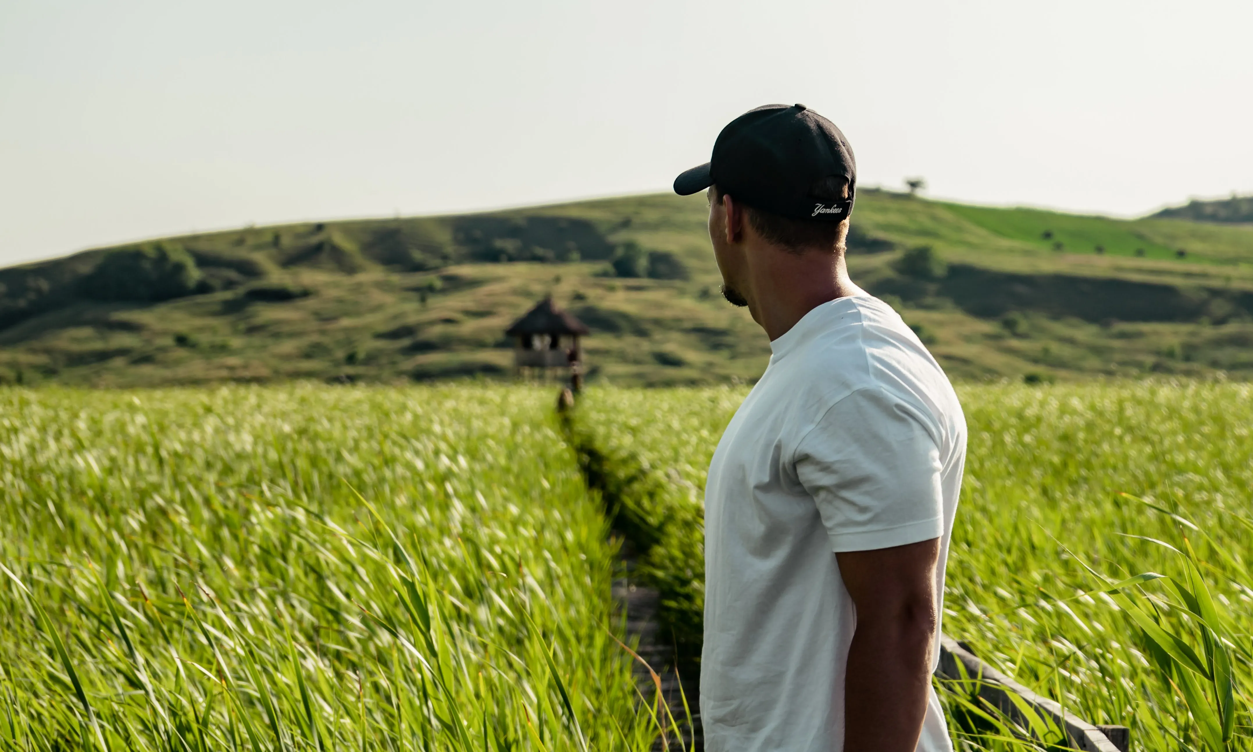 Noi mirant un camp de blat. Font: Pexels - Vlad Chețan