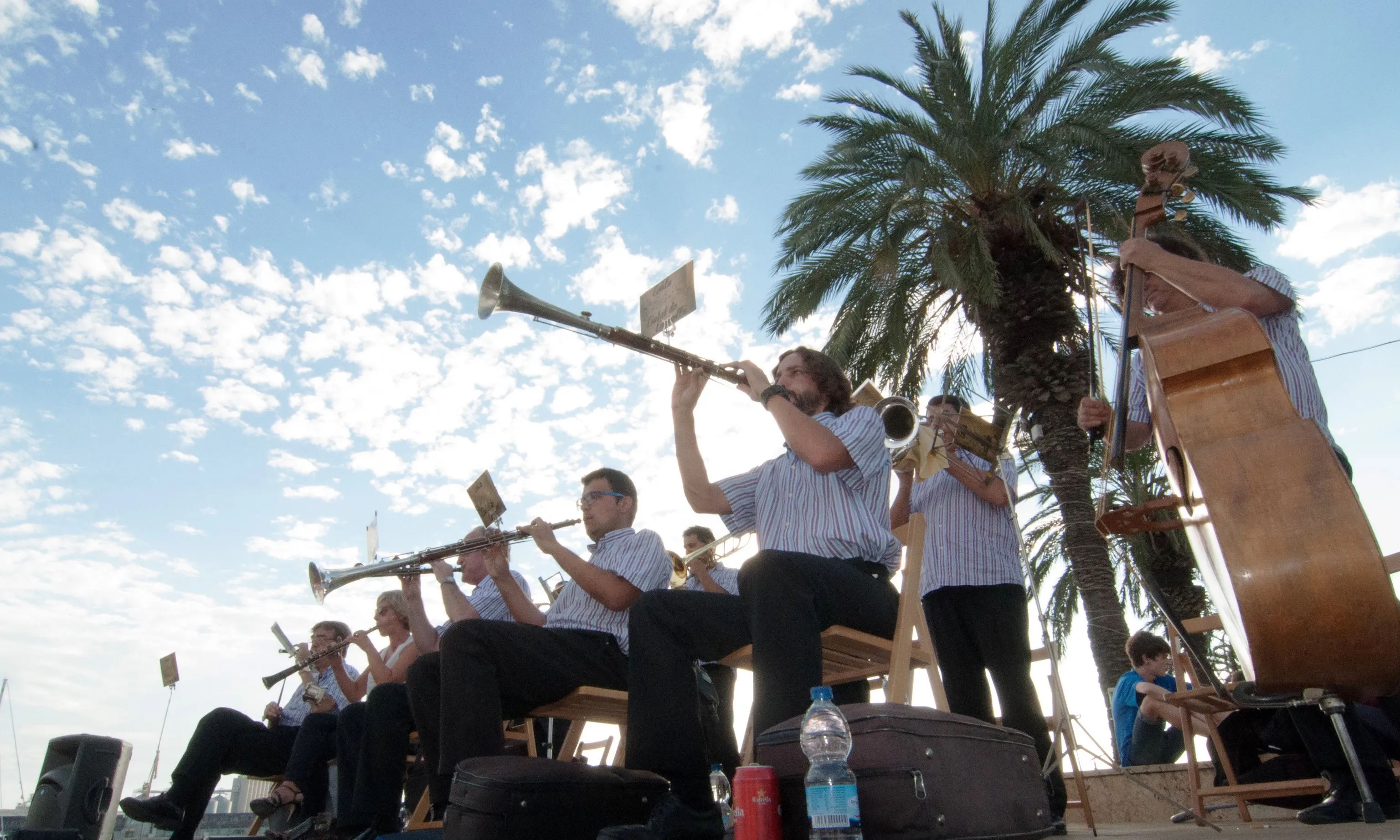 L'objectiu principal del concurs és difondre les compositores i les obres de sardana que s'han estrenat durant l'any, perquè la ciutadania s'apropi al món de la sardana.