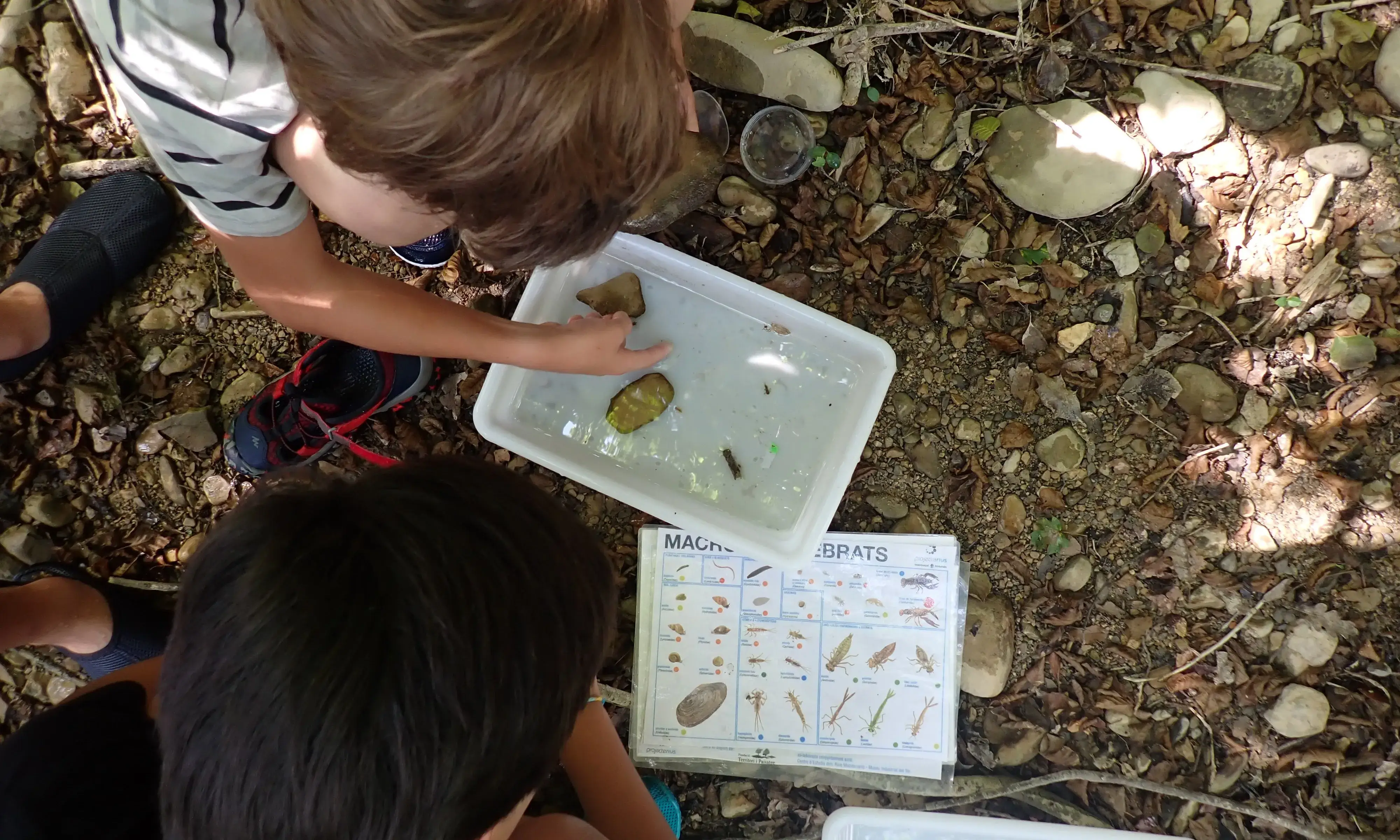 La Sorellona ofereix oportunitats d'activitats de voluntariat ambiental per a totes les edats, amb l'objectiu de preservar la biodiversitat del país. 