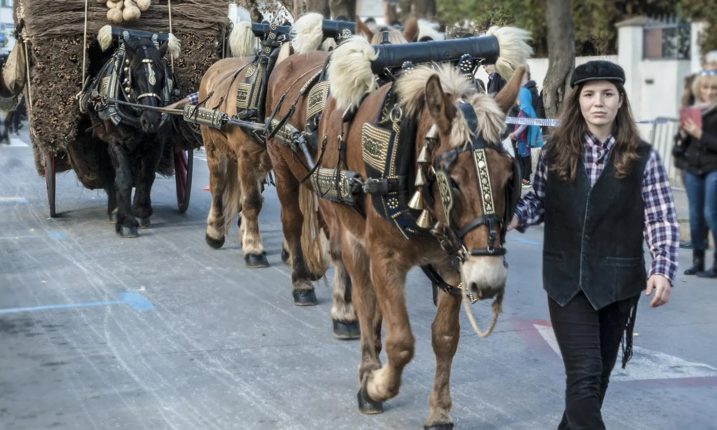 Els Tres Tombs és una tradició popular catalana que ret homenatge als animals de treball, especialment als cavalls.